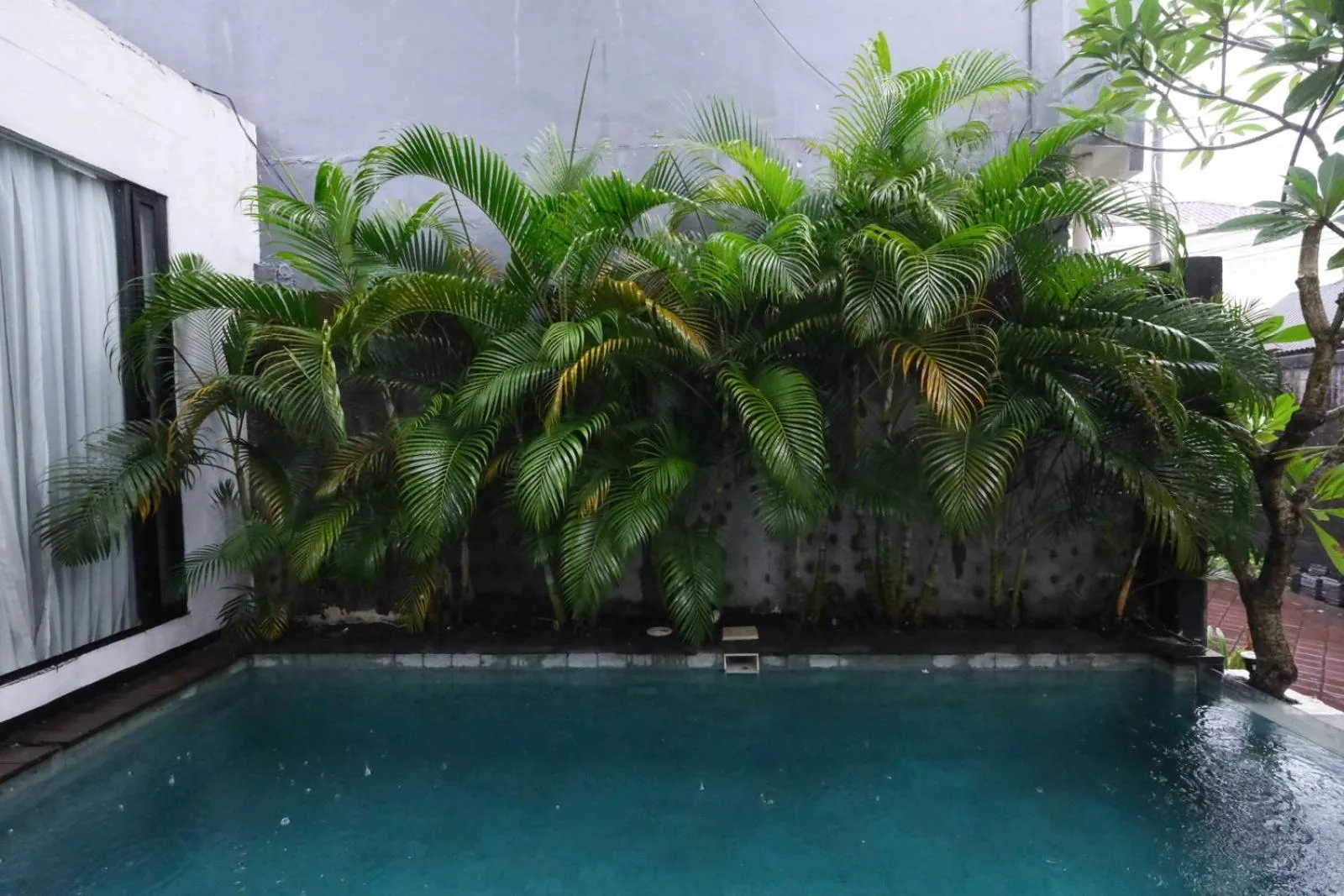 Swimming pool in Escotel Jalak