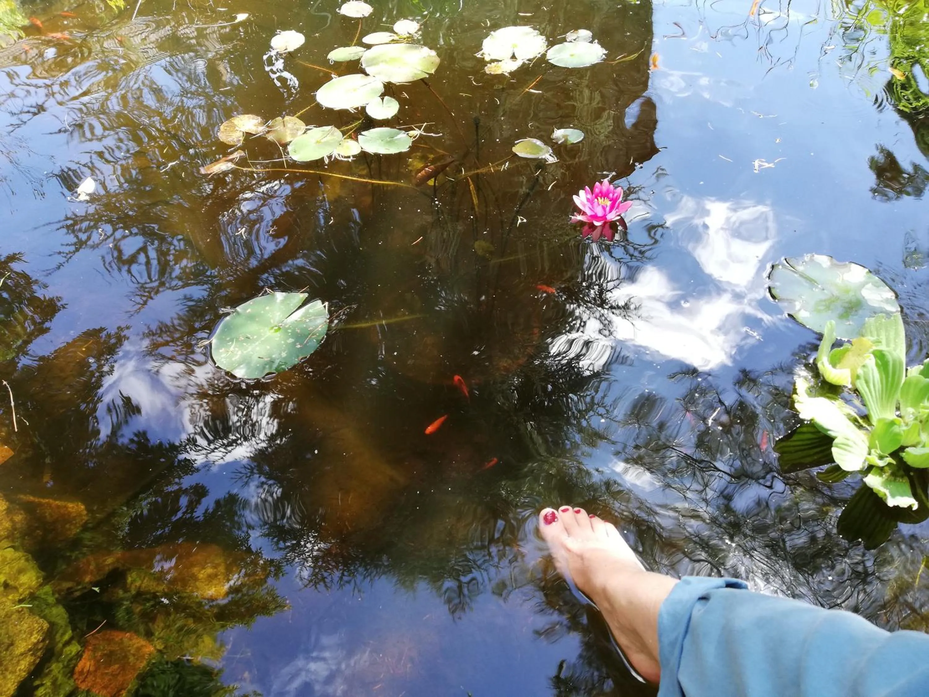 Day in Moulin de Schwabwiller