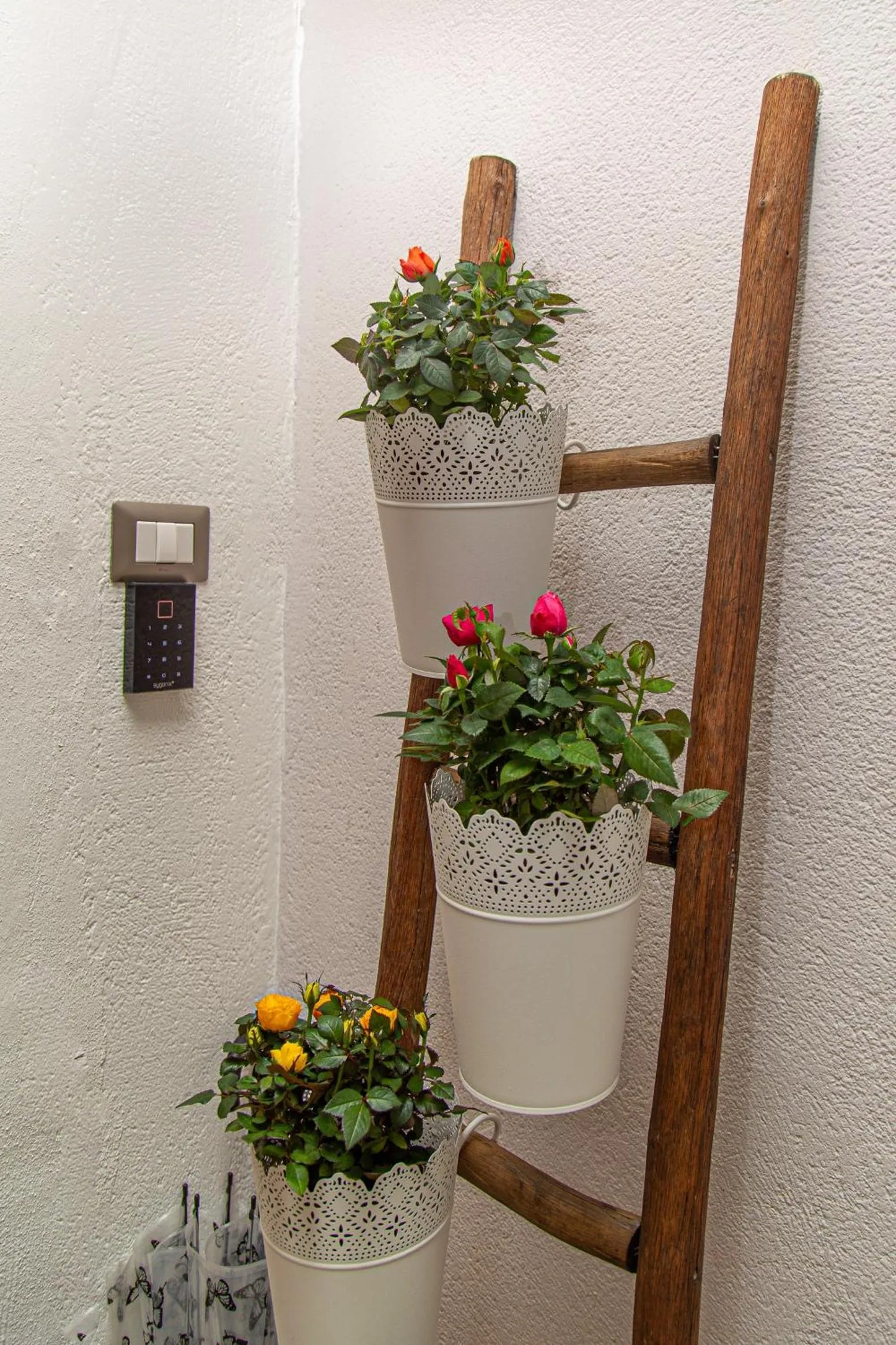 Facade/entrance in il Palchetto B&B di Charme e Design