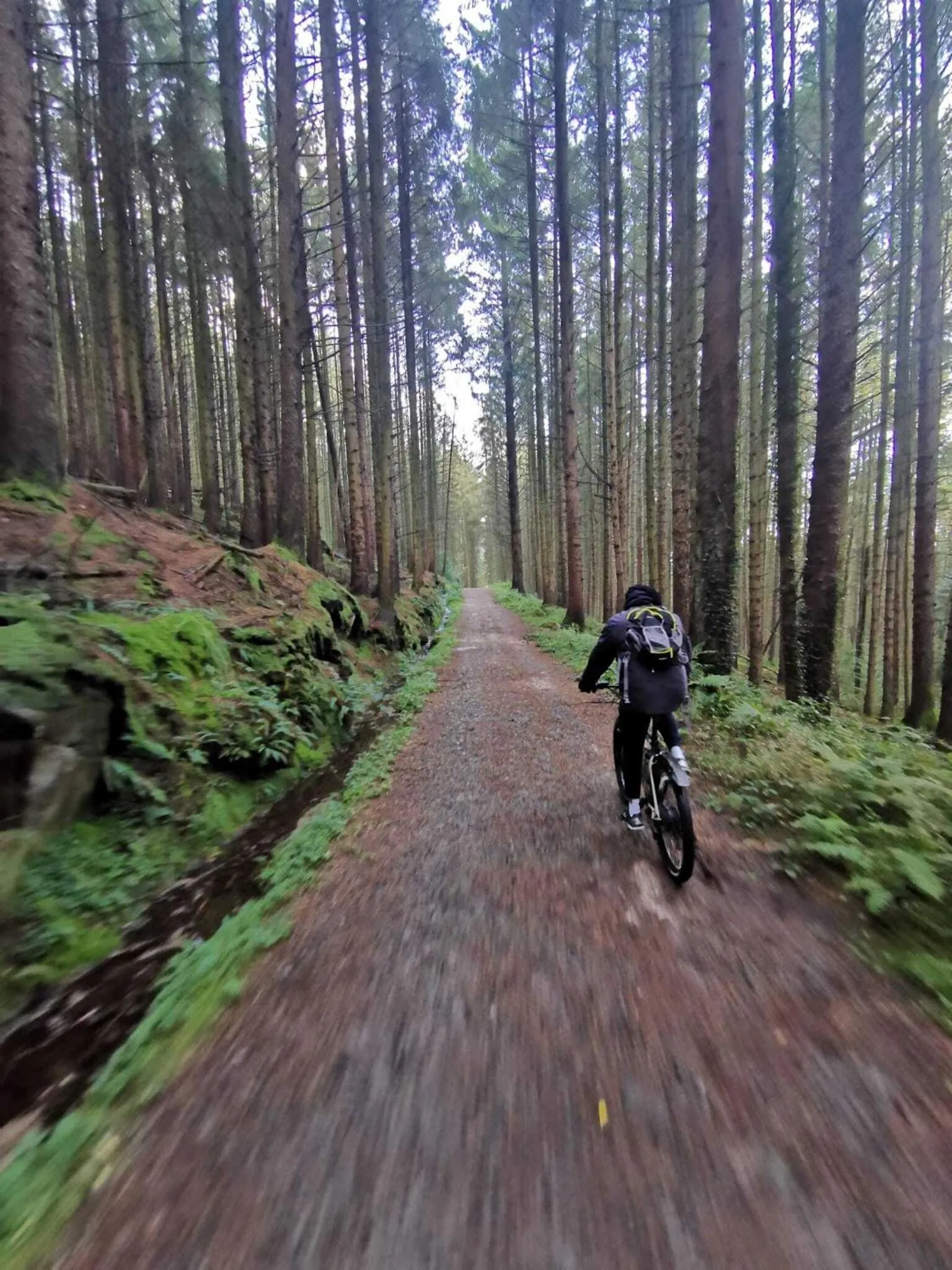 Activities in The Oystercatcher