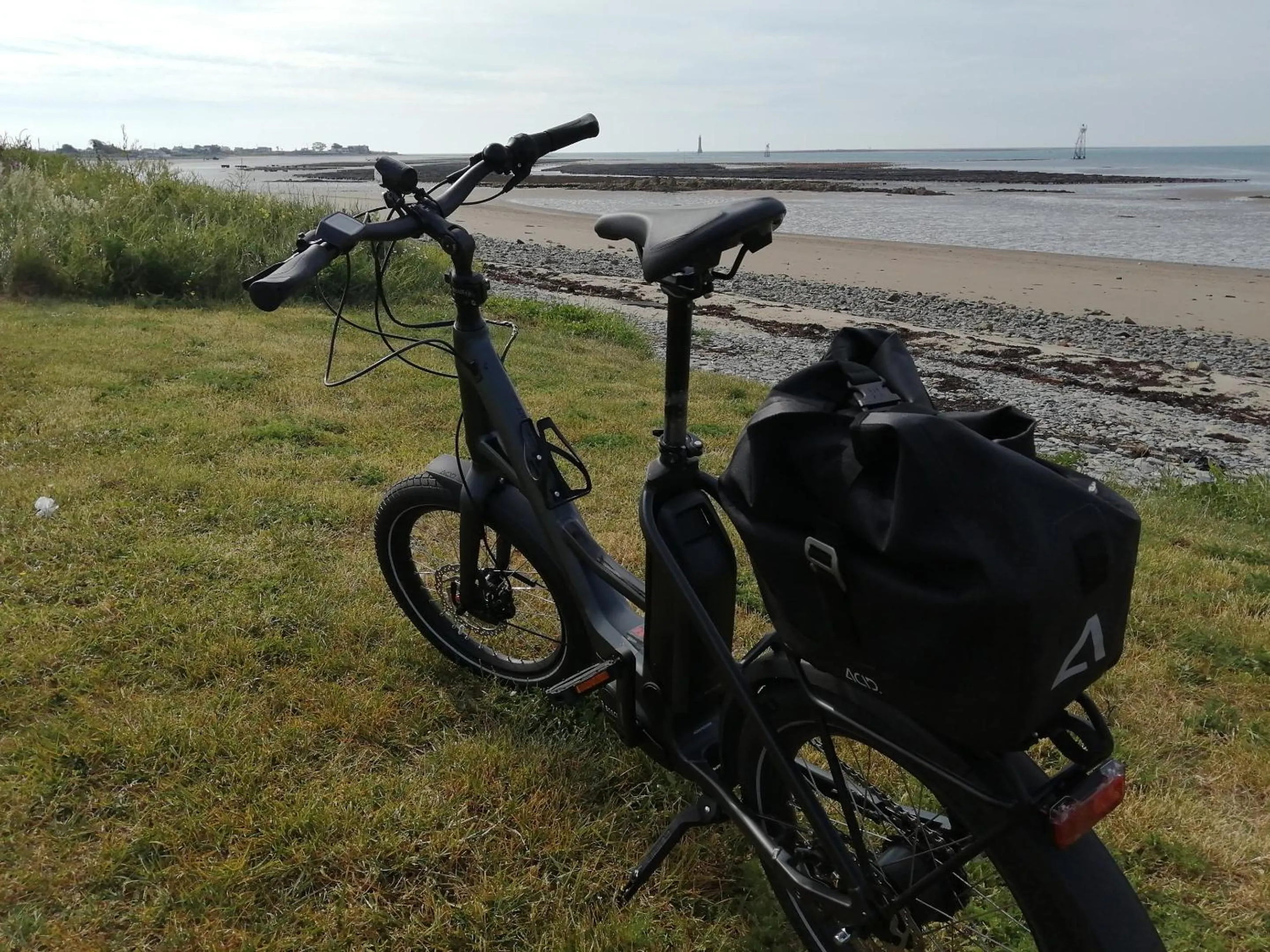 Beach in The Oystercatcher