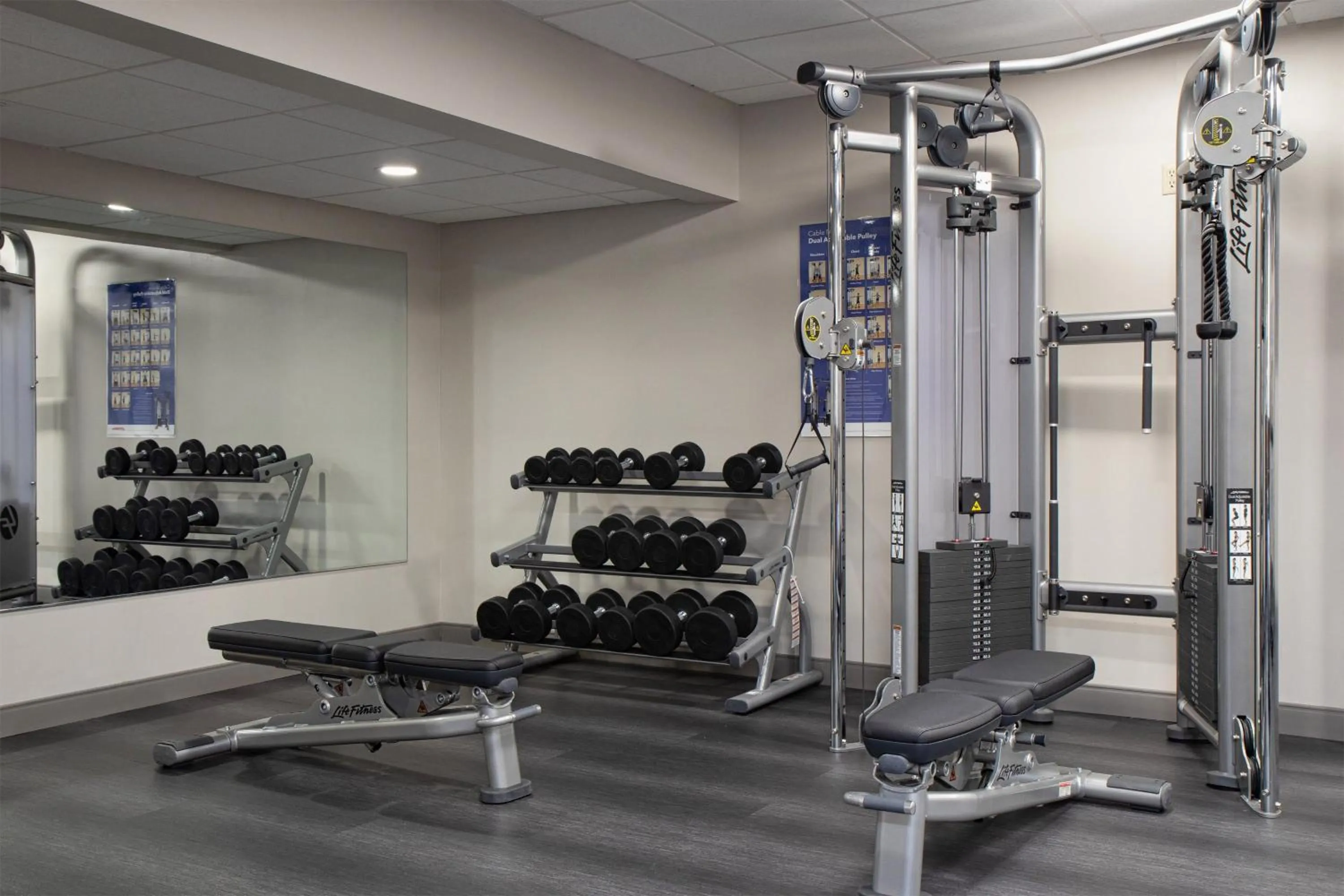 Fitness centre/facilities in Four Points by Sheraton Allentown Lehigh Valley