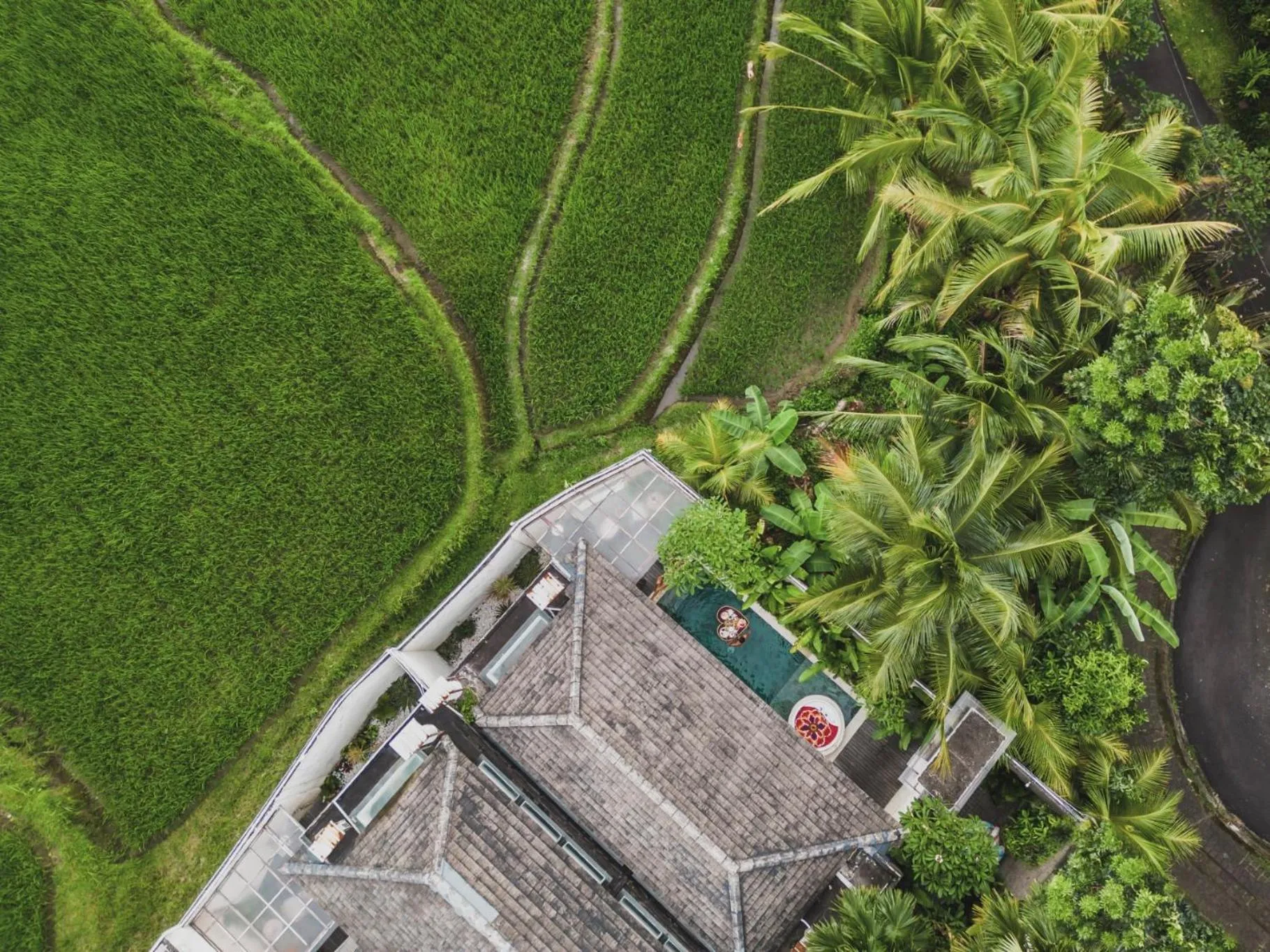 Property building in Asvara Villa Ubud by Ini Vie Hospitality