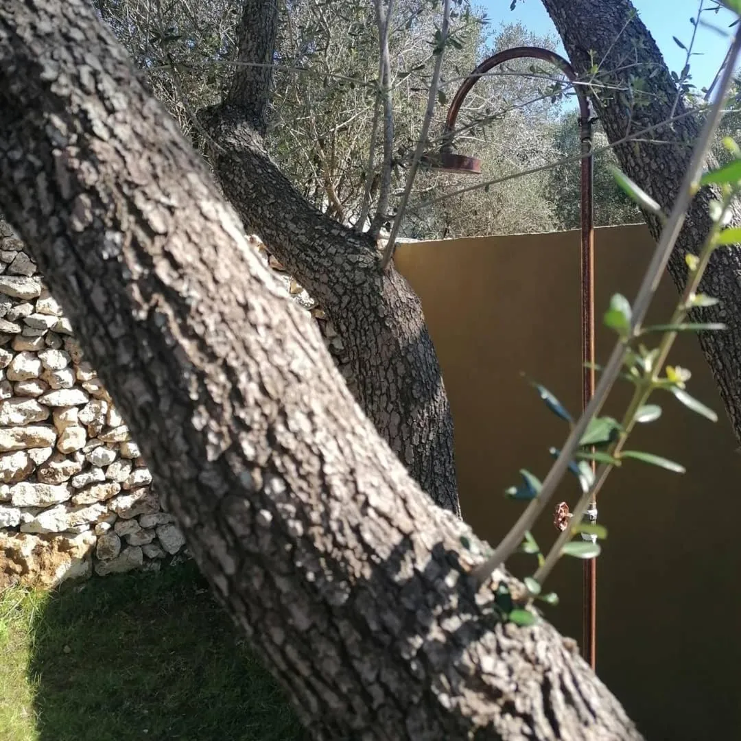 Hôtel Les Suites Du Maquis