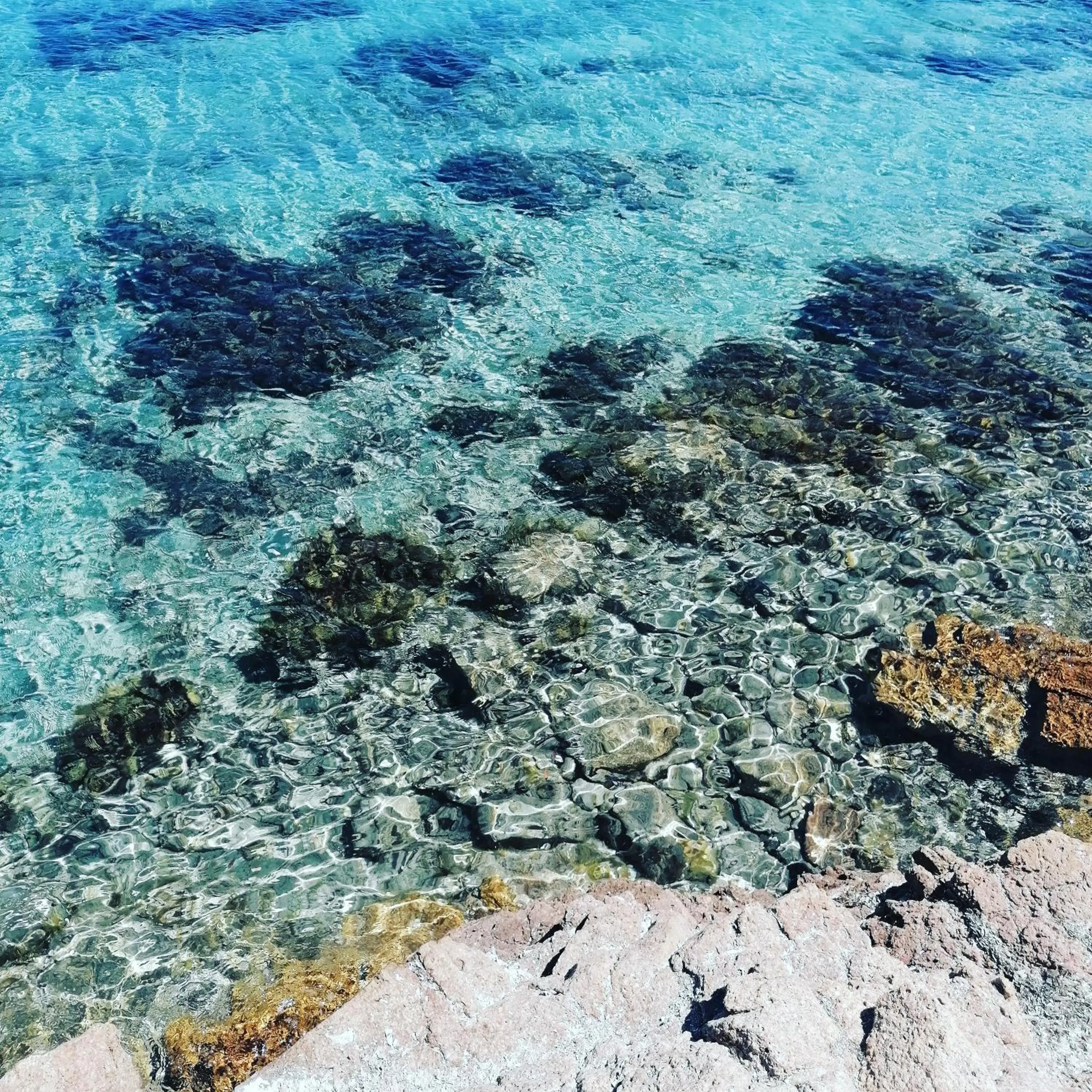 Hôtel Les Suites Du Maquis