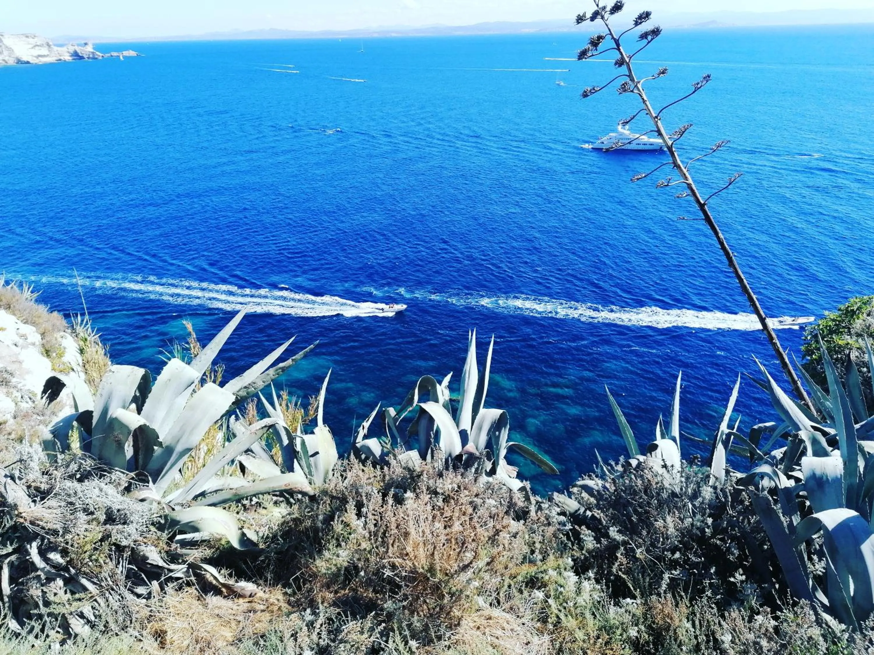 Hôtel Les Suites Du Maquis