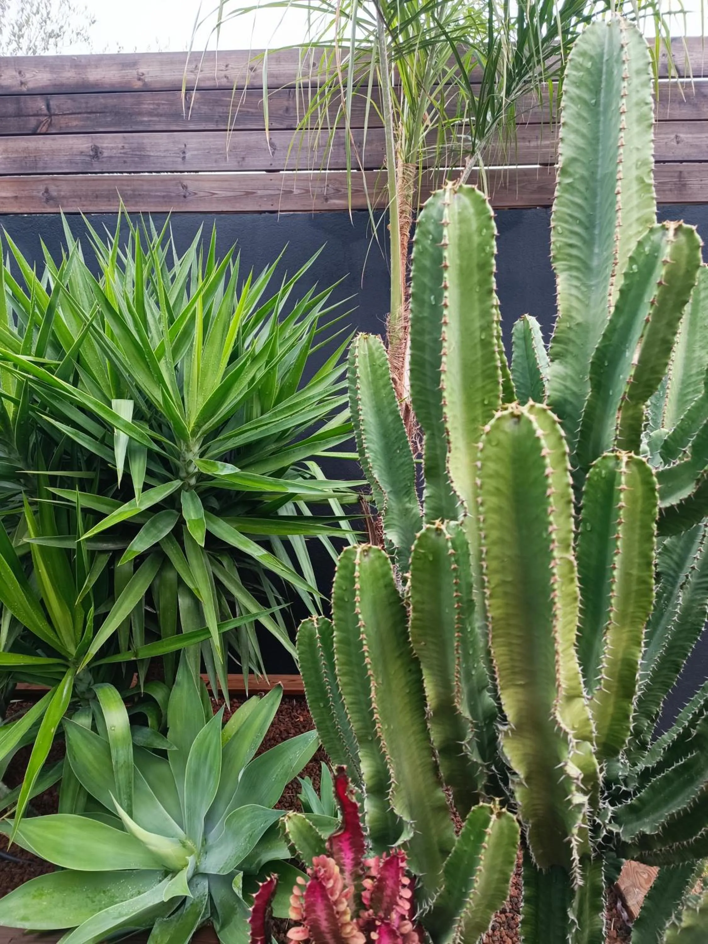 Hôtel Les Suites Du Maquis