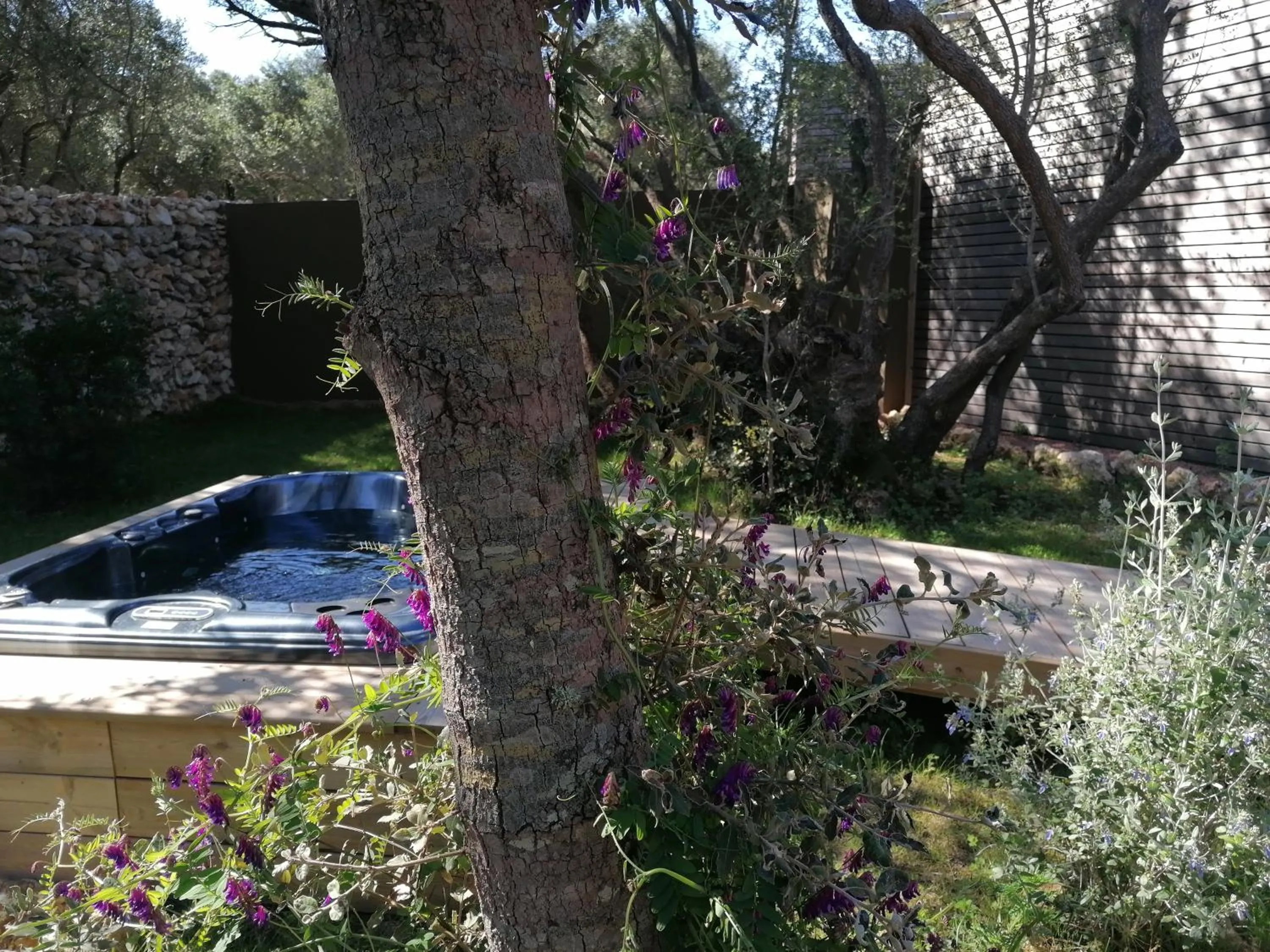 Hôtel Les Suites Du Maquis