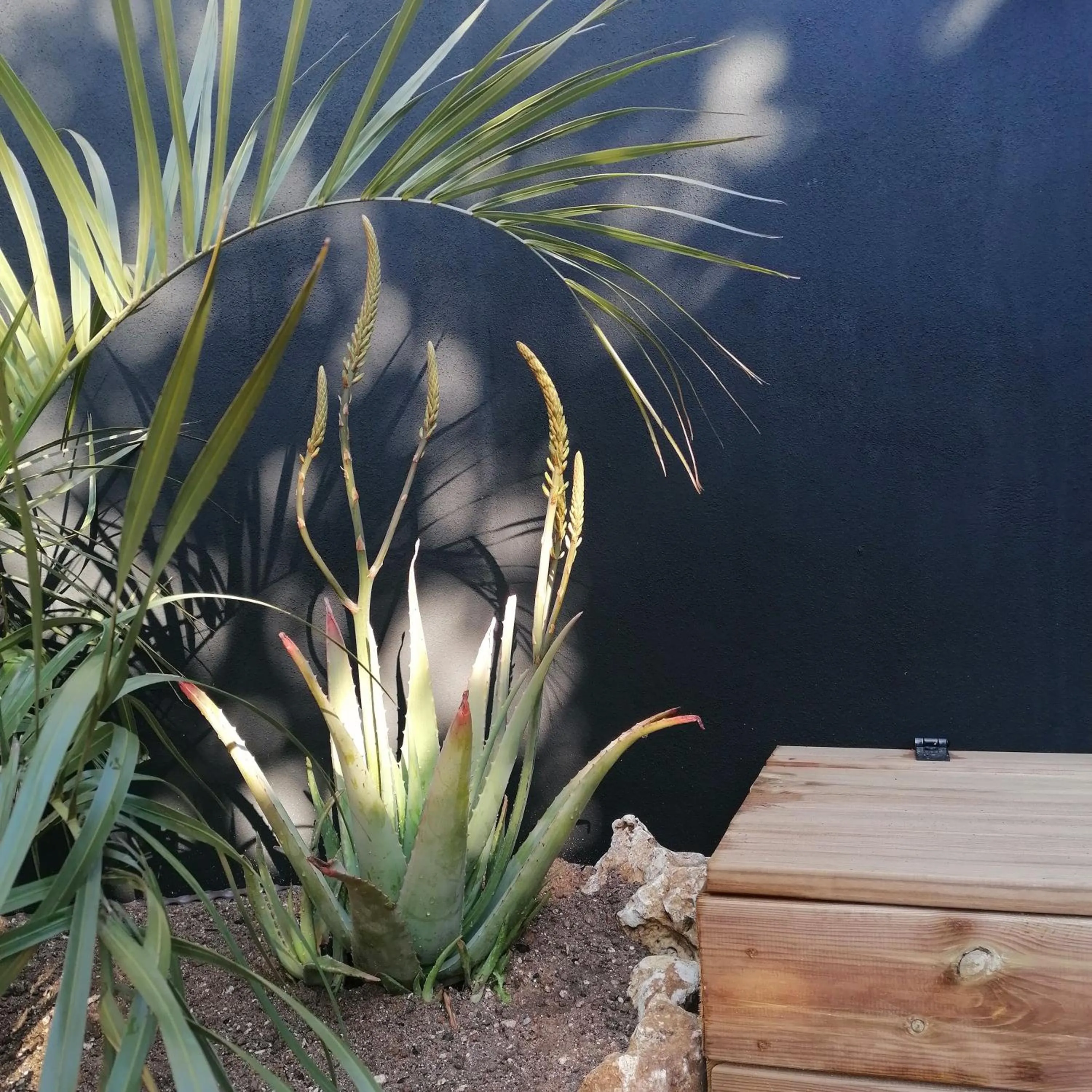 Hôtel Les Suites Du Maquis