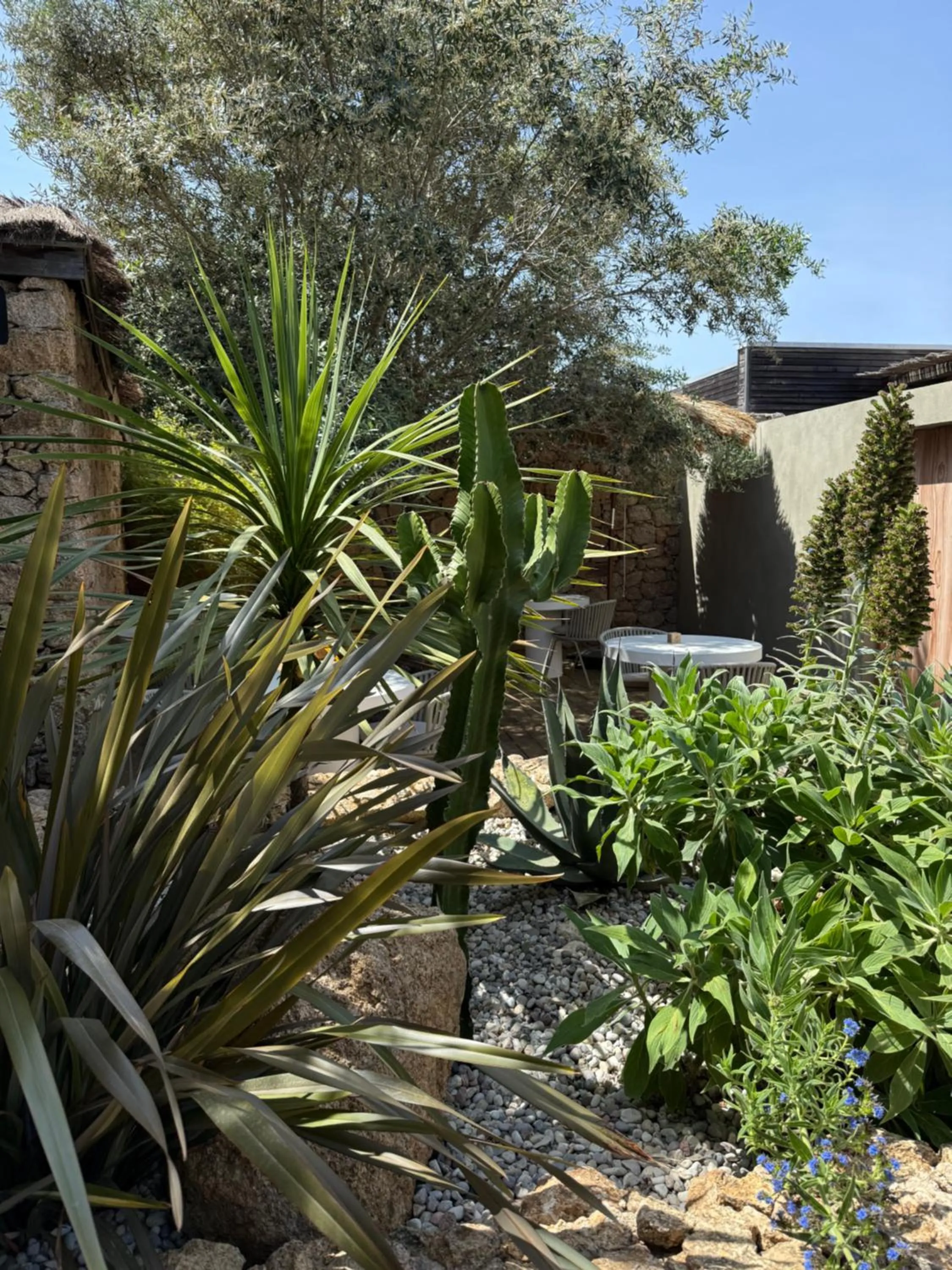 Hôtel Les Suites Du Maquis