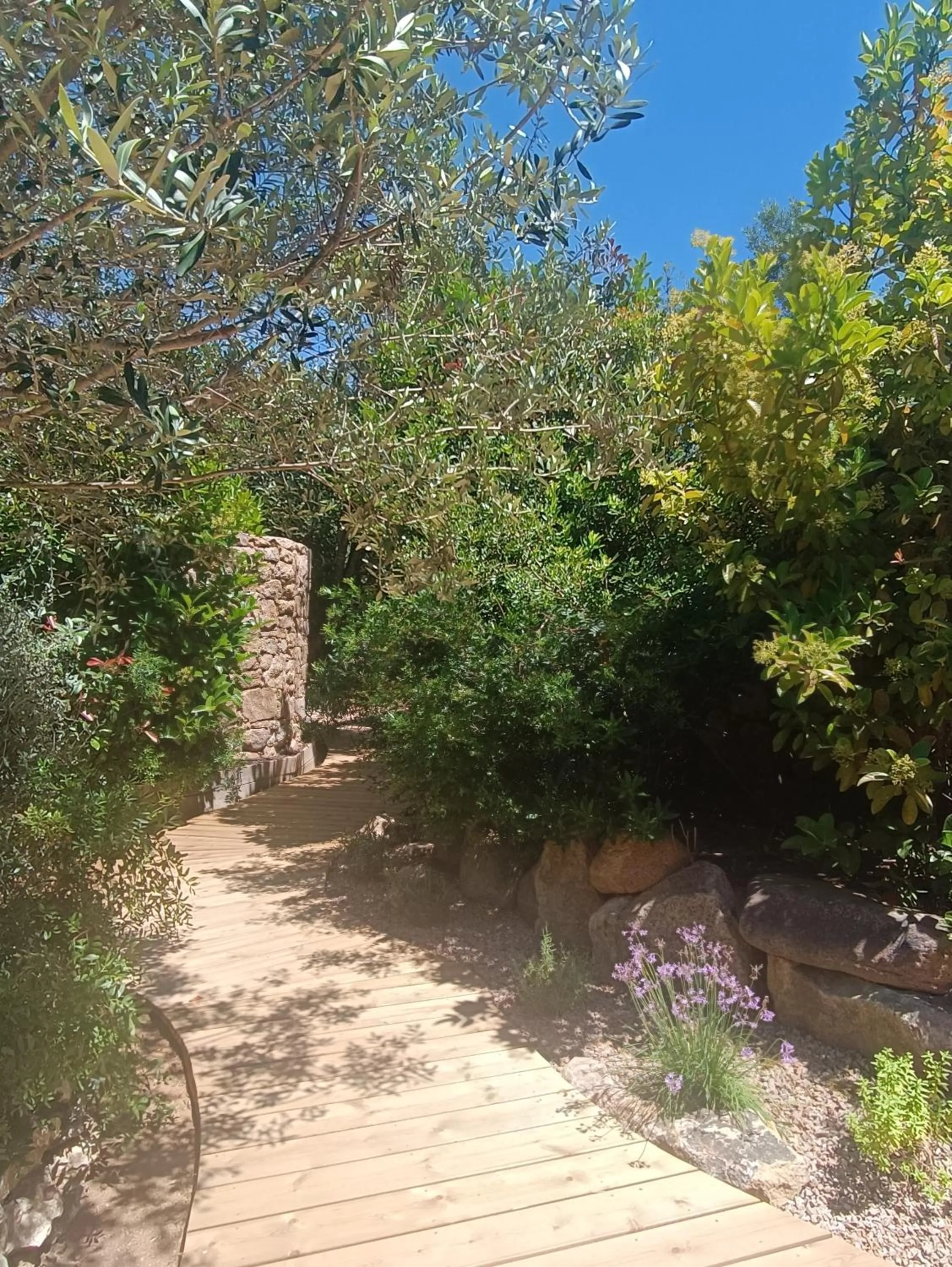 Hôtel Les Suites Du Maquis