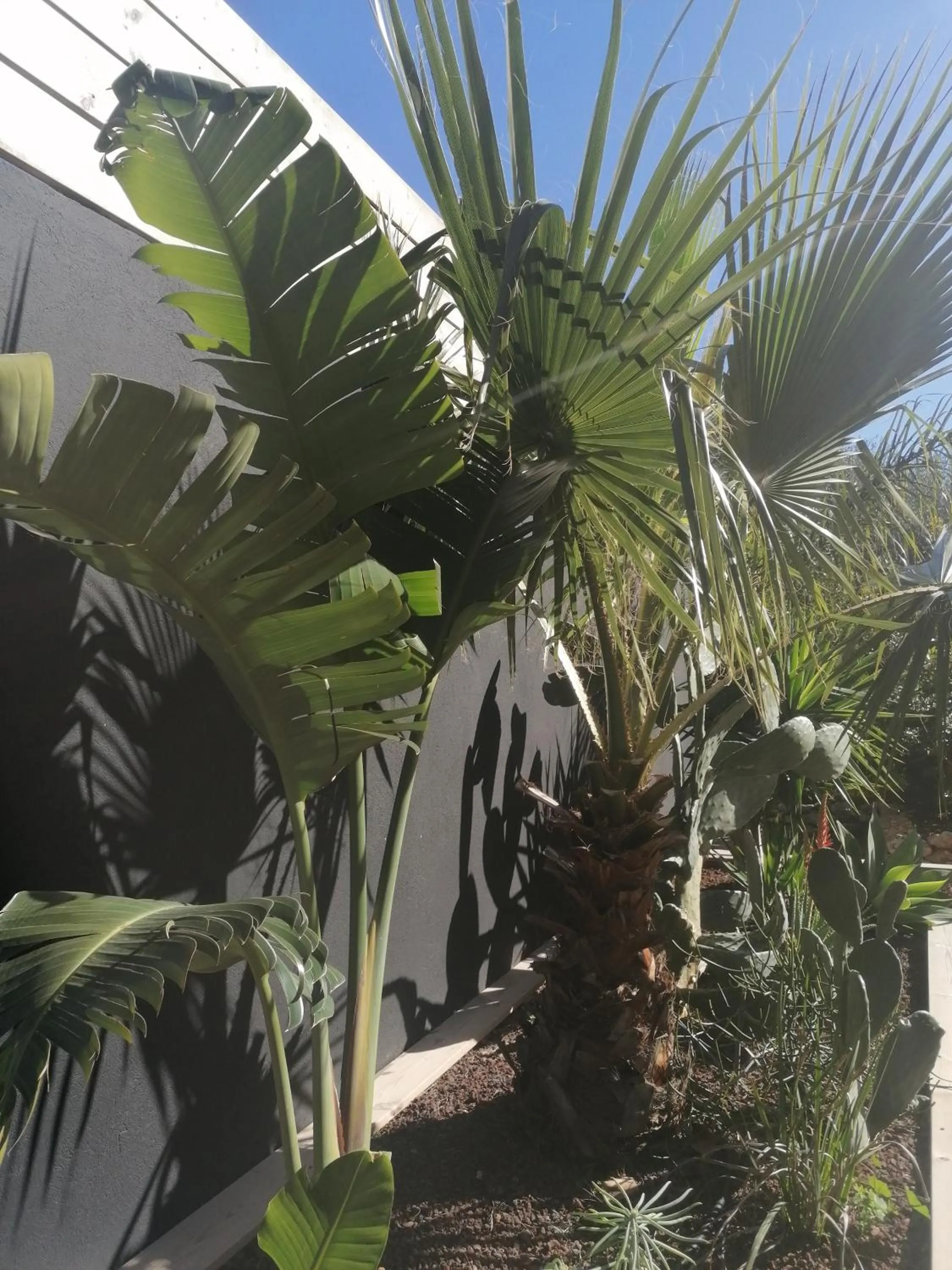 Hôtel Les Suites Du Maquis