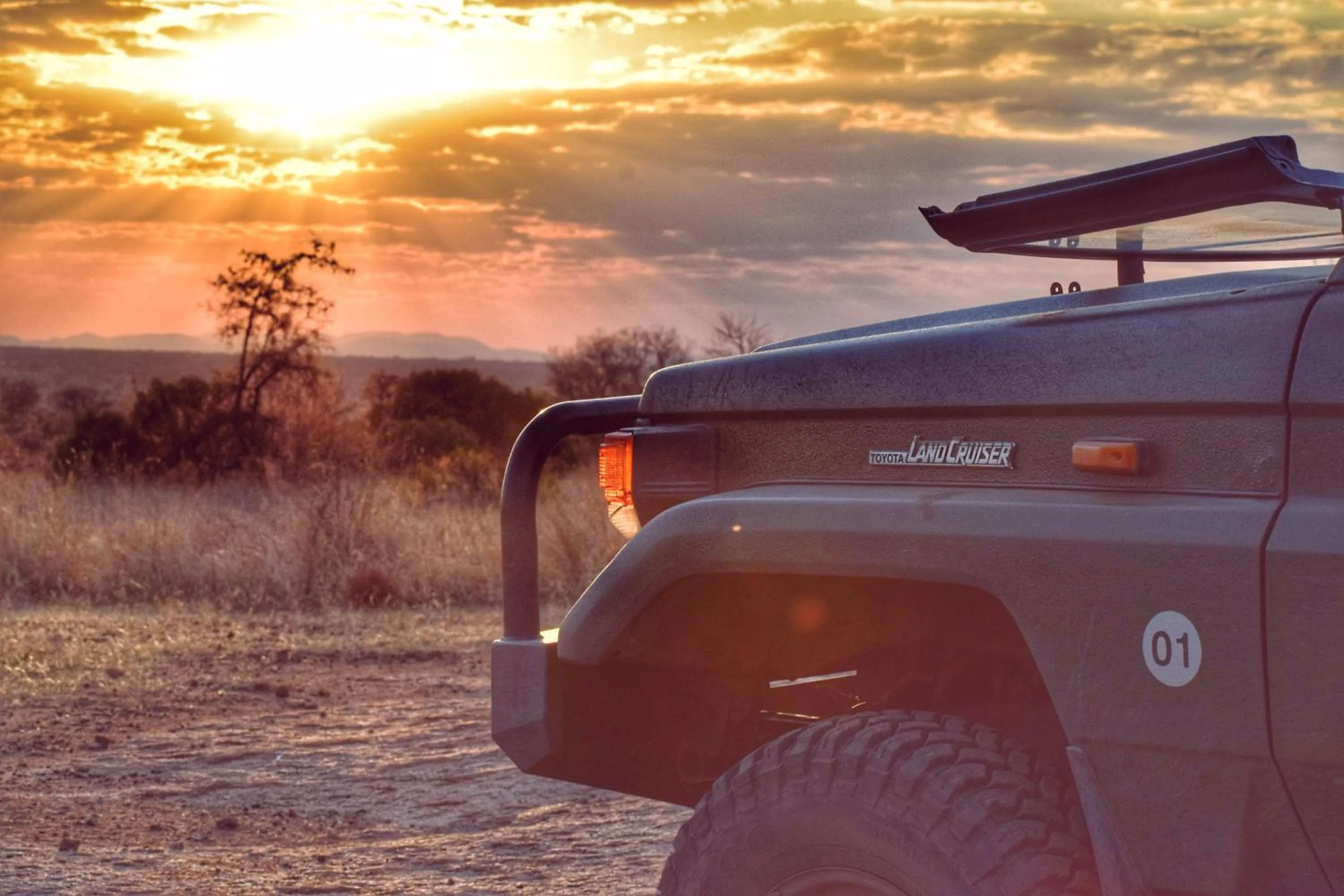 Activities in Mziki Safari Lodge