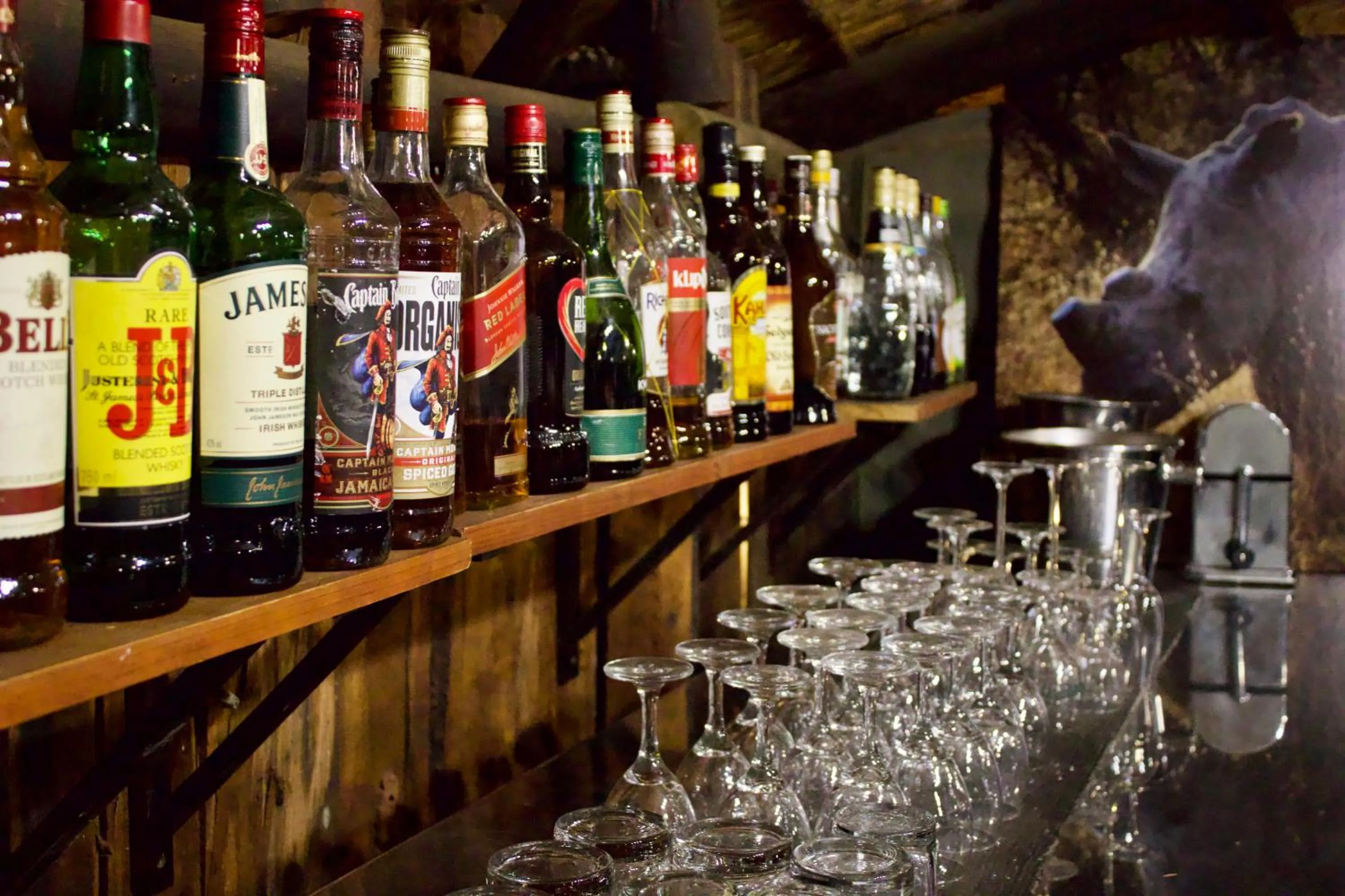 Lounge or bar in Mziki Safari Lodge