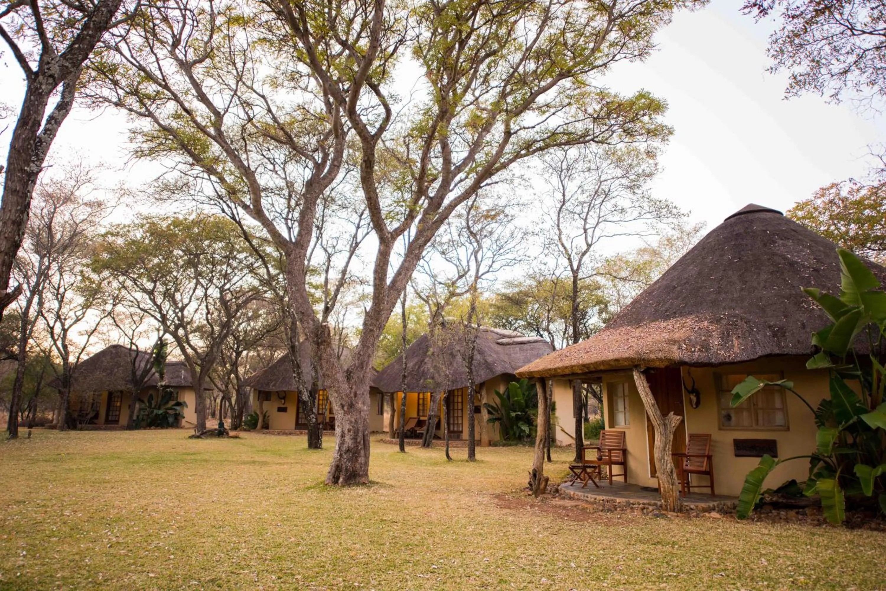 Property building in Mziki Safari Lodge