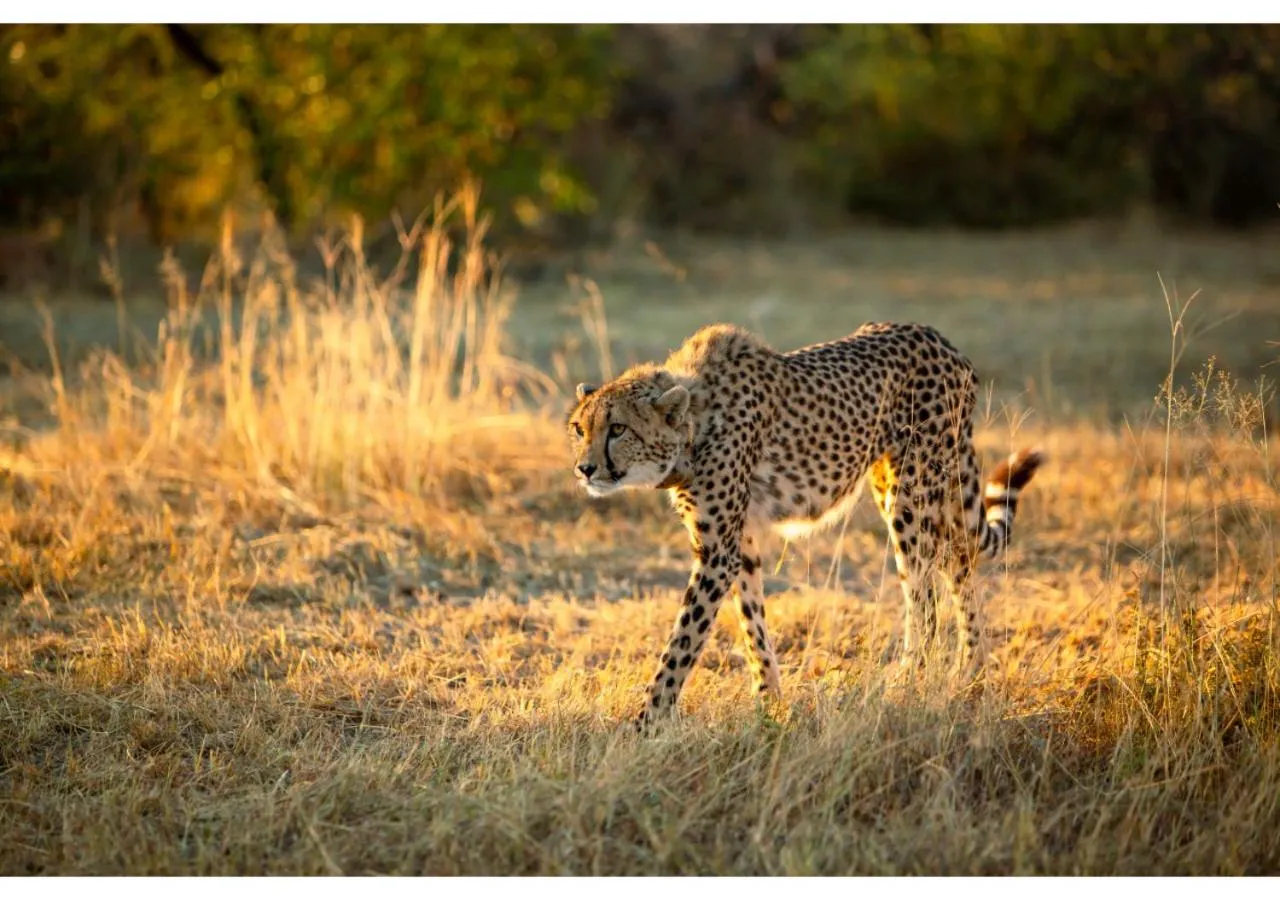 Natural landscape in Mziki Safari Lodge