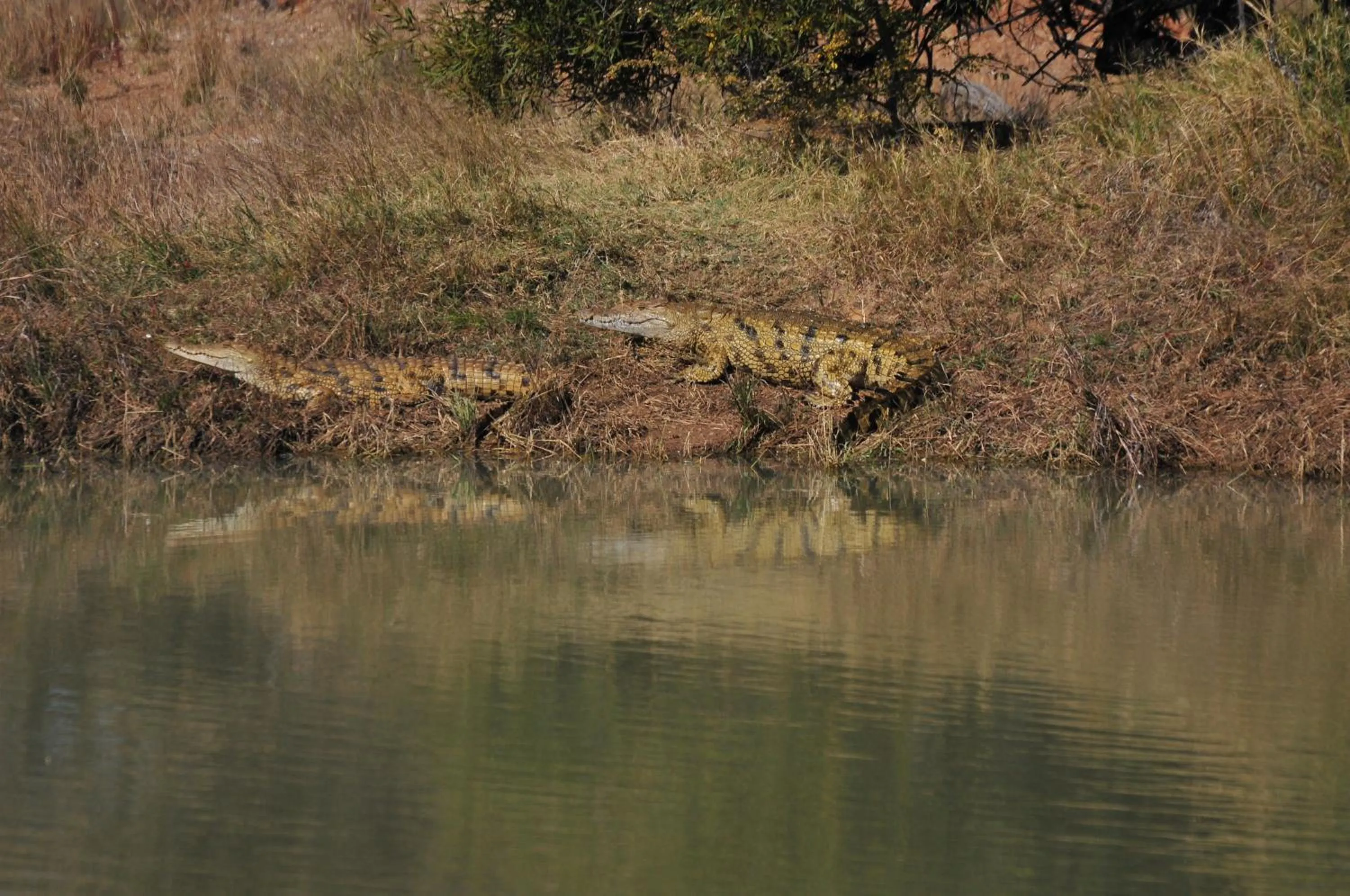 Natural landscape in Mziki Safari Lodge