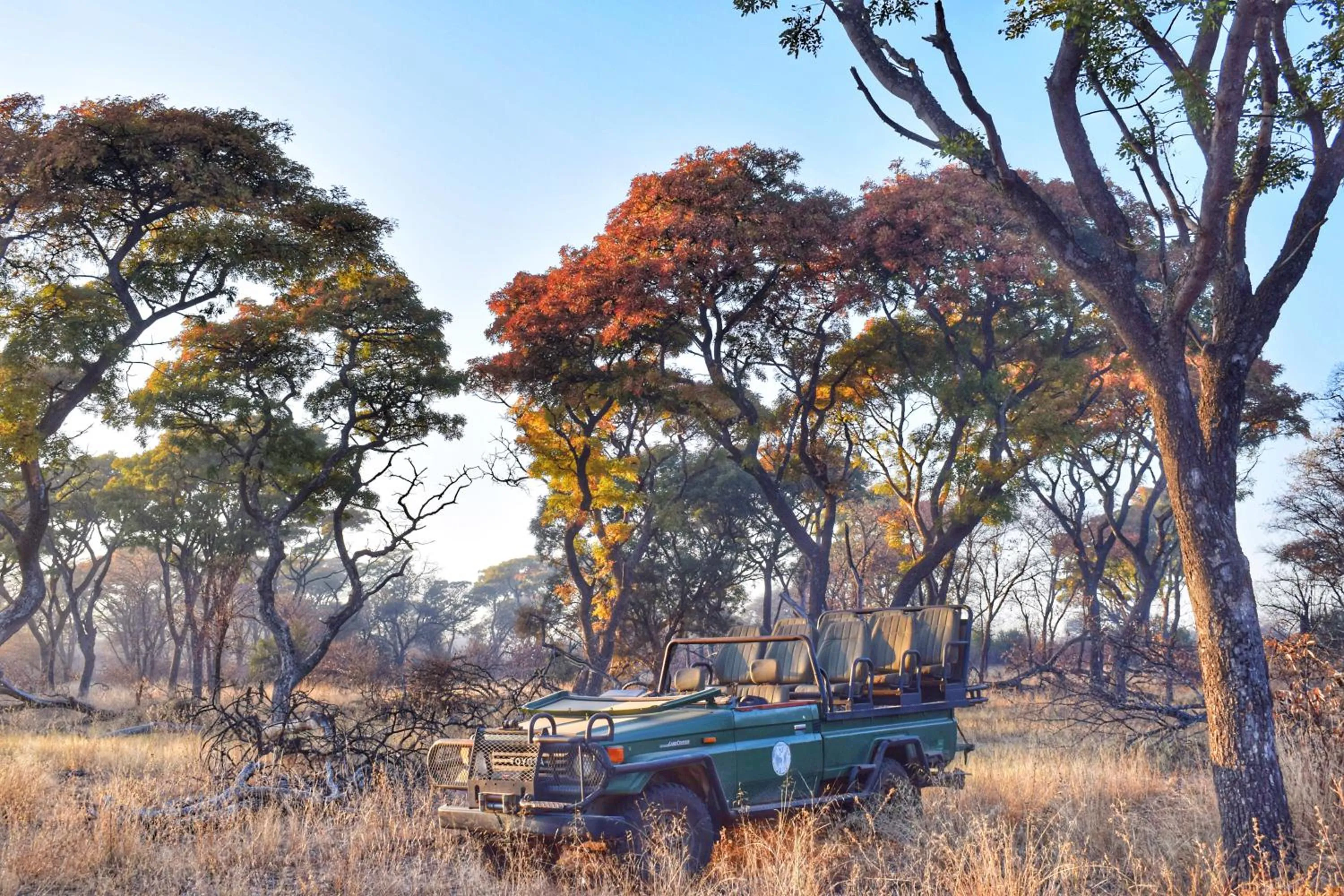 Activities in Mziki Safari Lodge