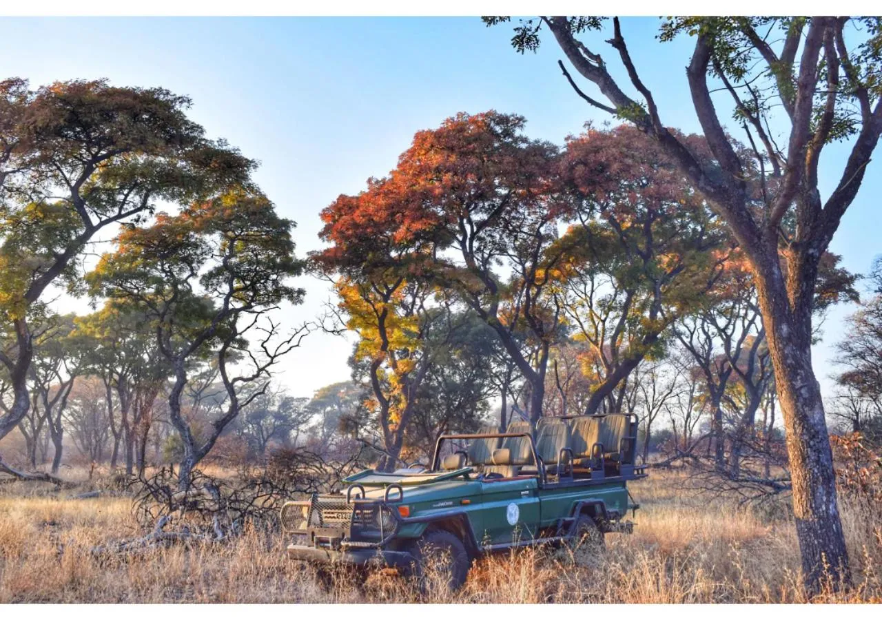 Natural landscape in Mziki Safari Lodge