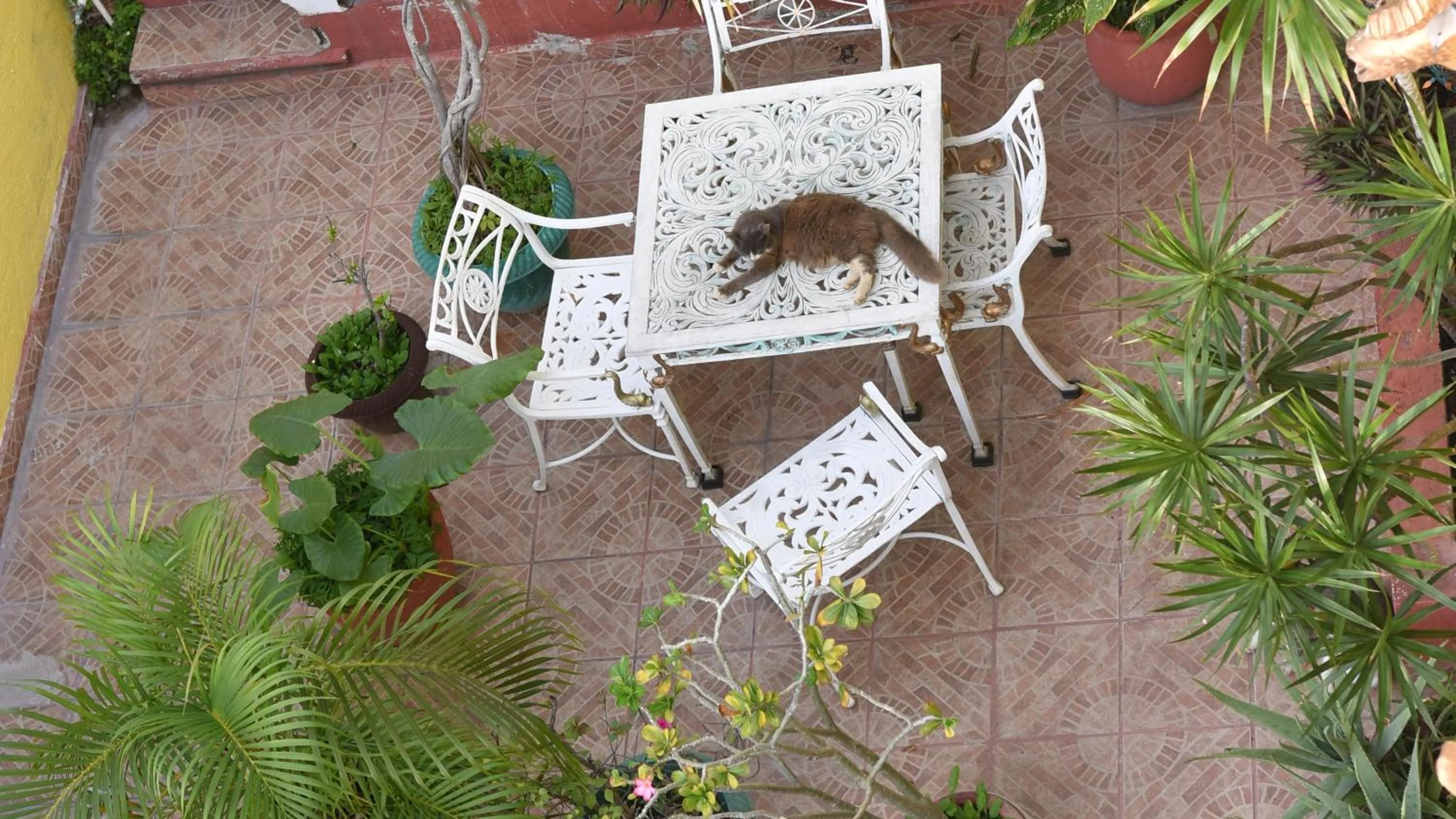 Patio in Cancun Guest House 6