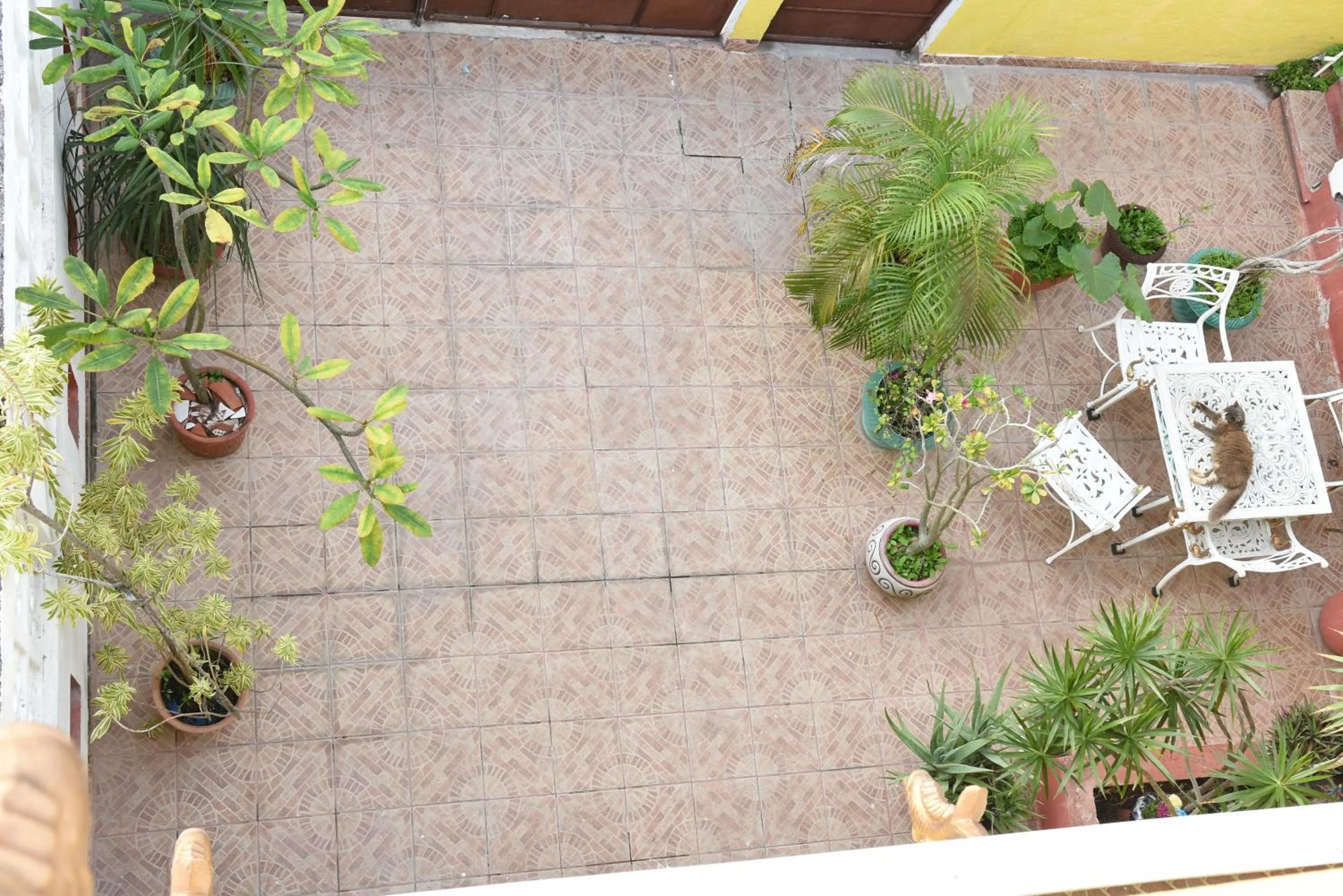 Other in Cancun Guest House 6