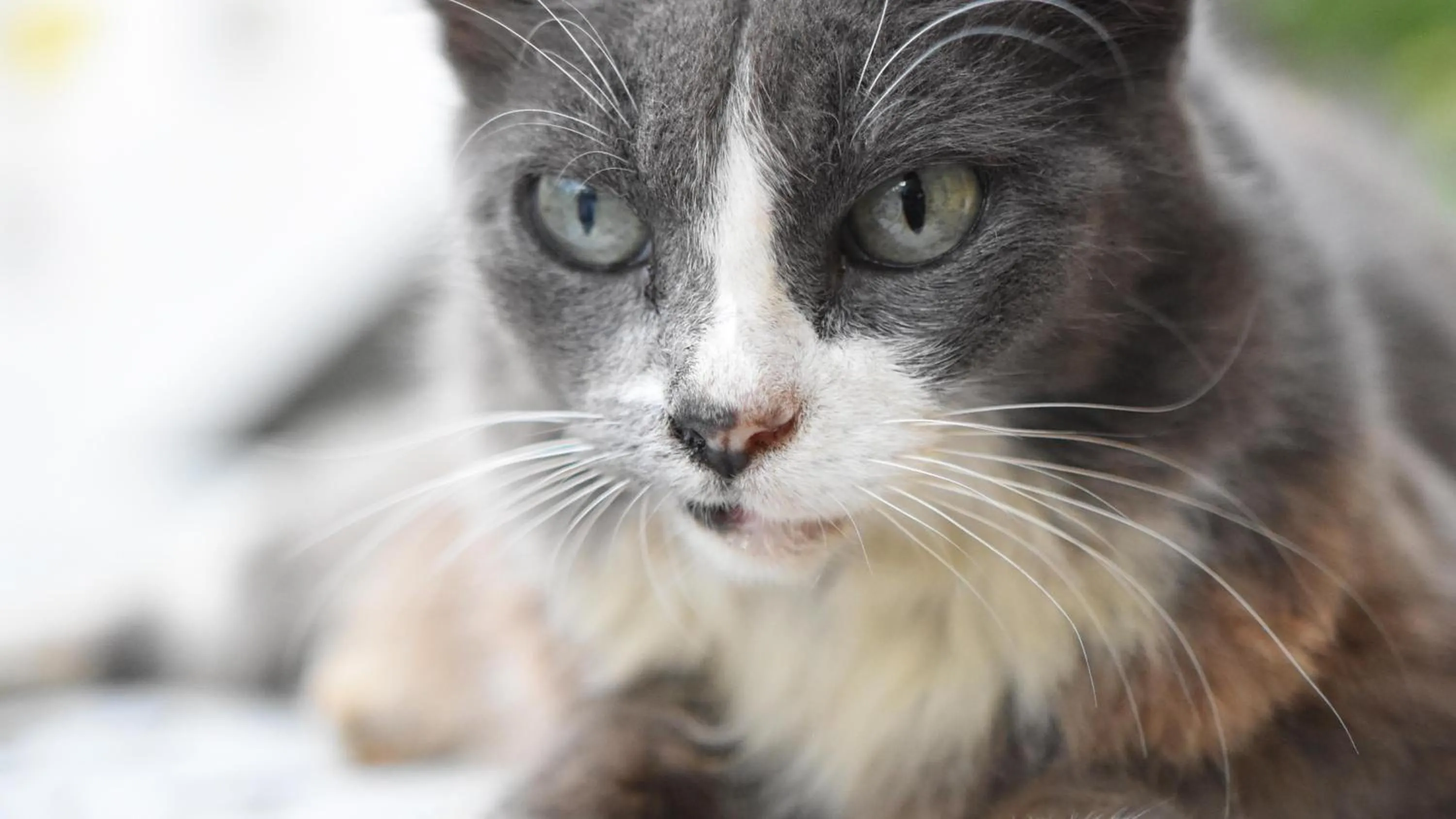 Other in Cancun Guest House 6