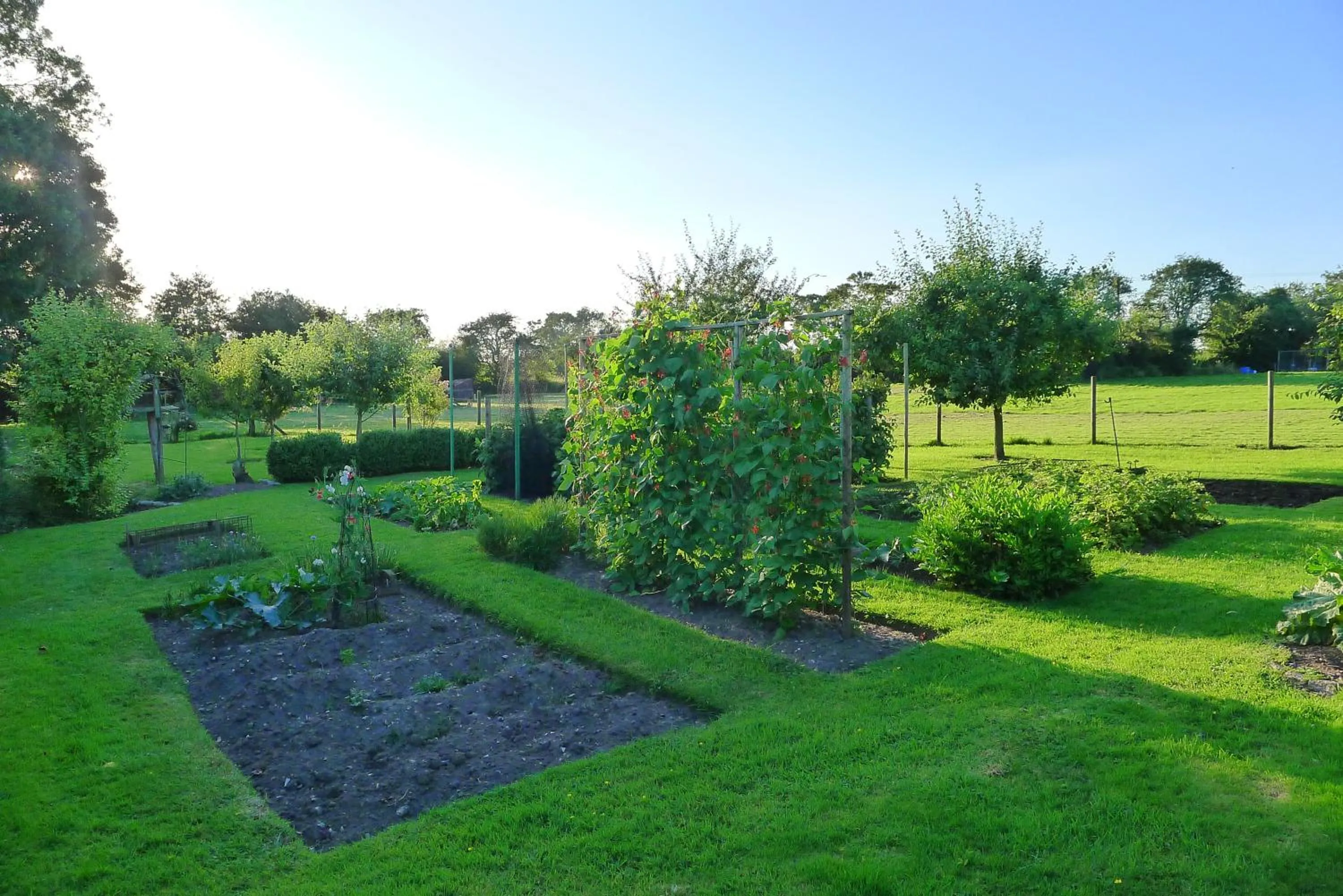 Garden in Garwood House