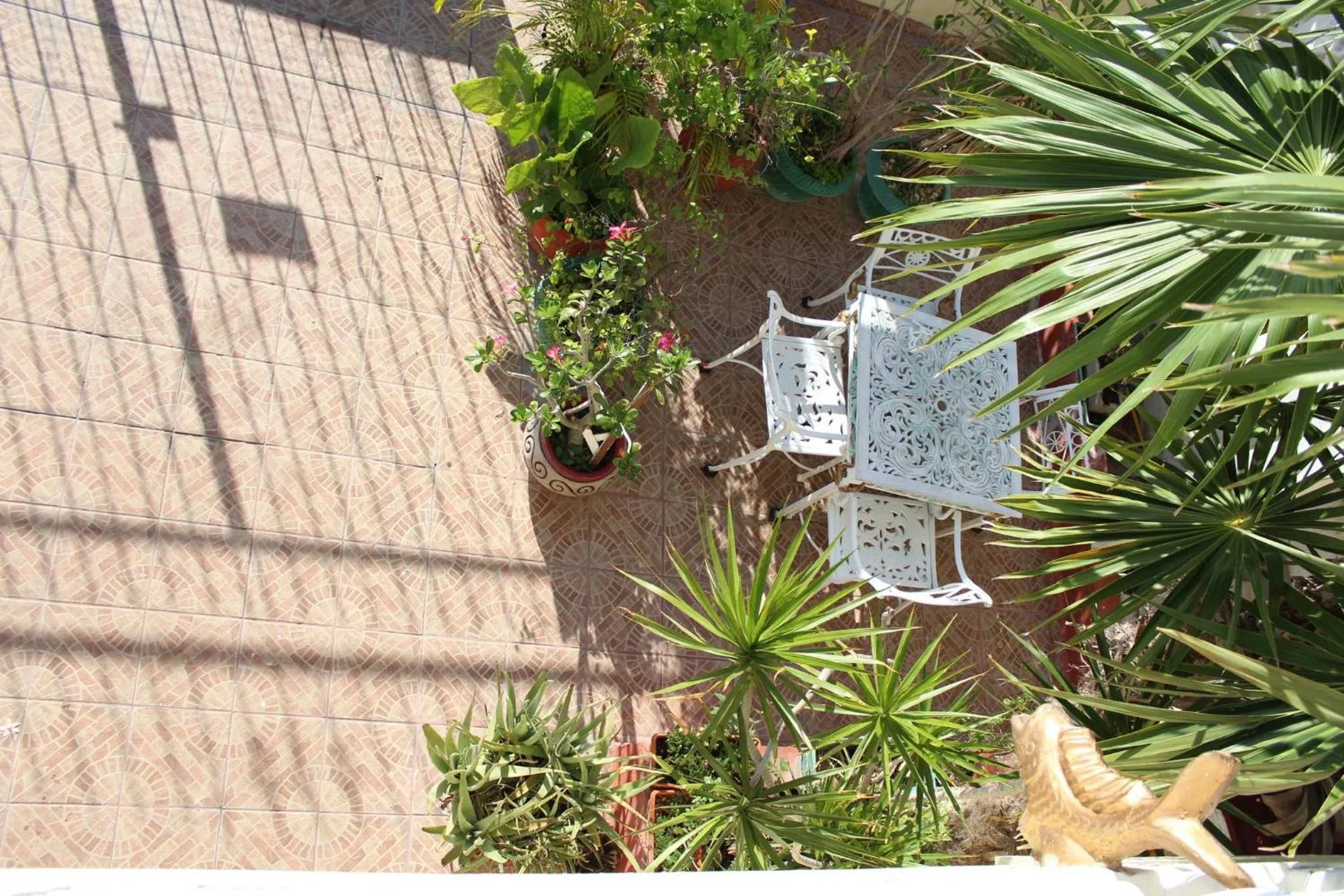 Cancun Guest House 3 near Ado bus terminal and 25 min from-to airport by shuttle