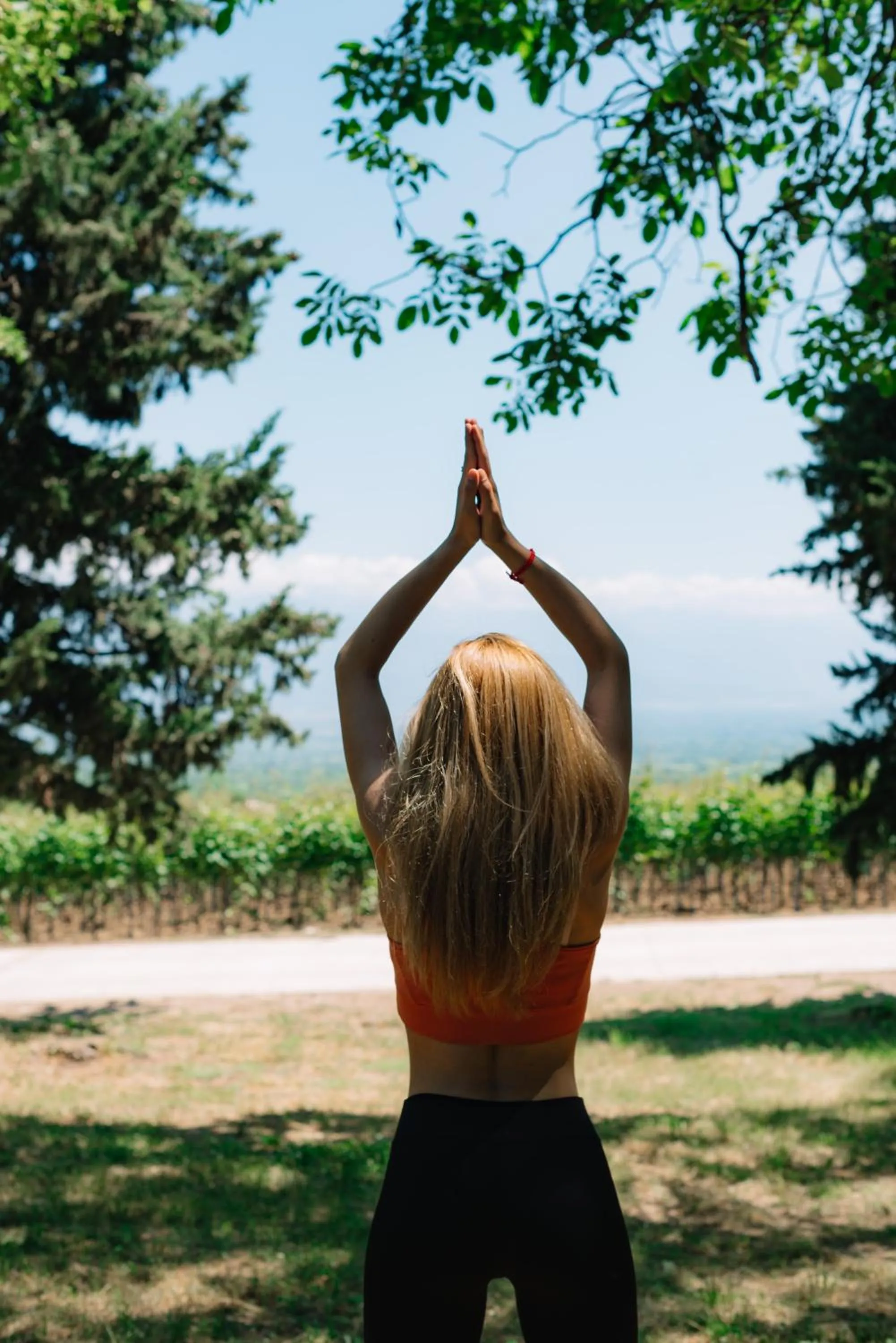 Activities in Vazisubani Estate