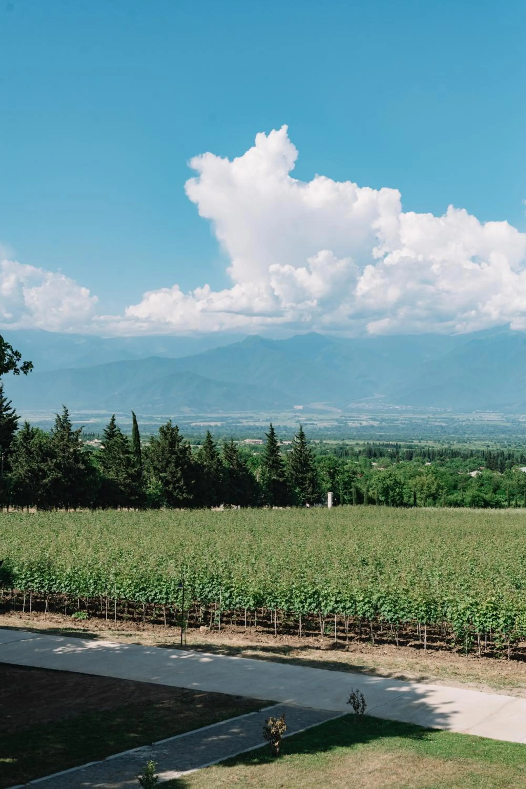 Natural landscape in Vazisubani Estate