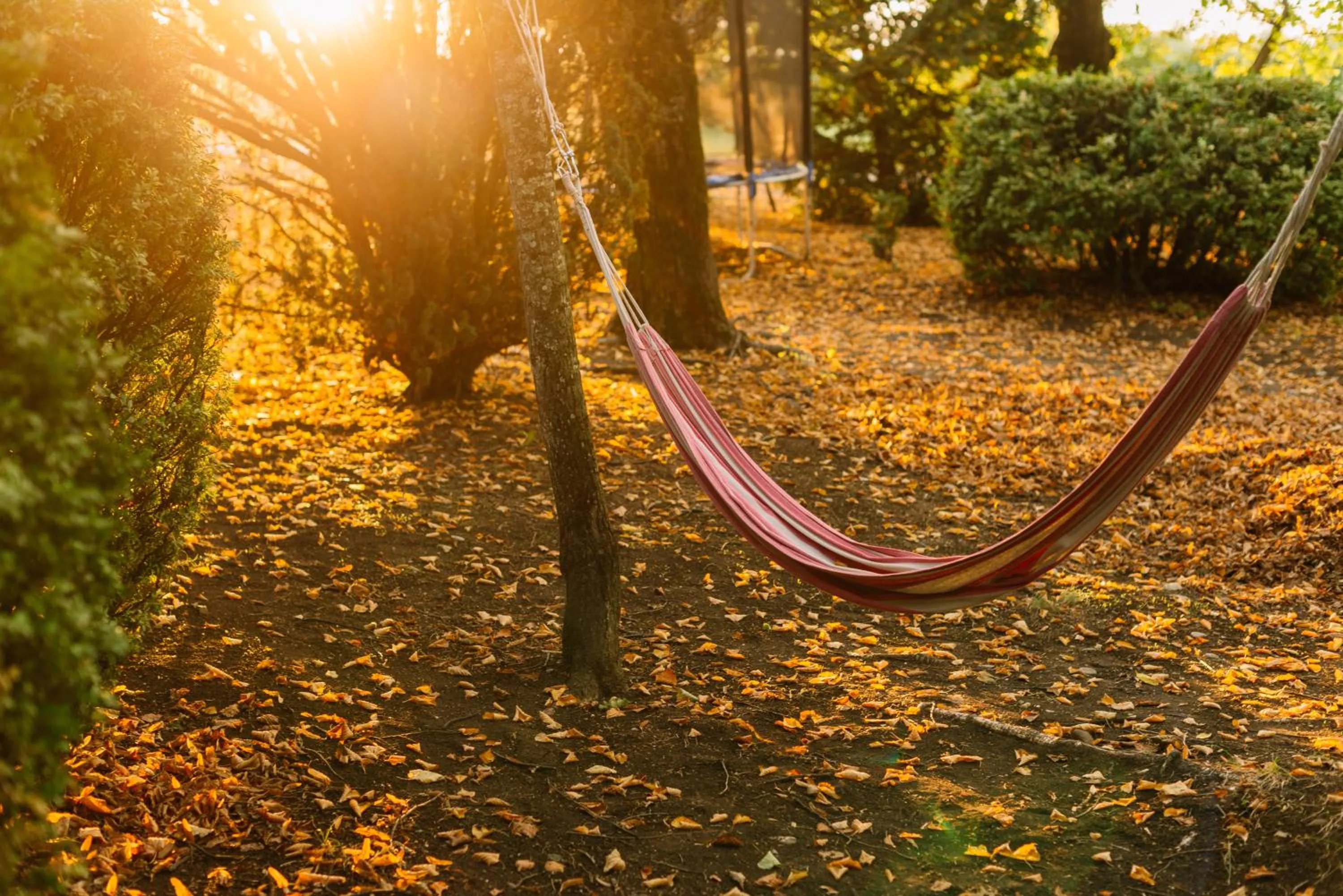 Natural landscape in Vazisubani Estate
