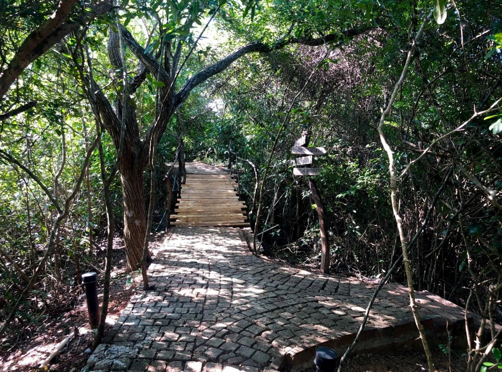 Natural landscape in Cloud Nine Lanka Resort Wilpattu