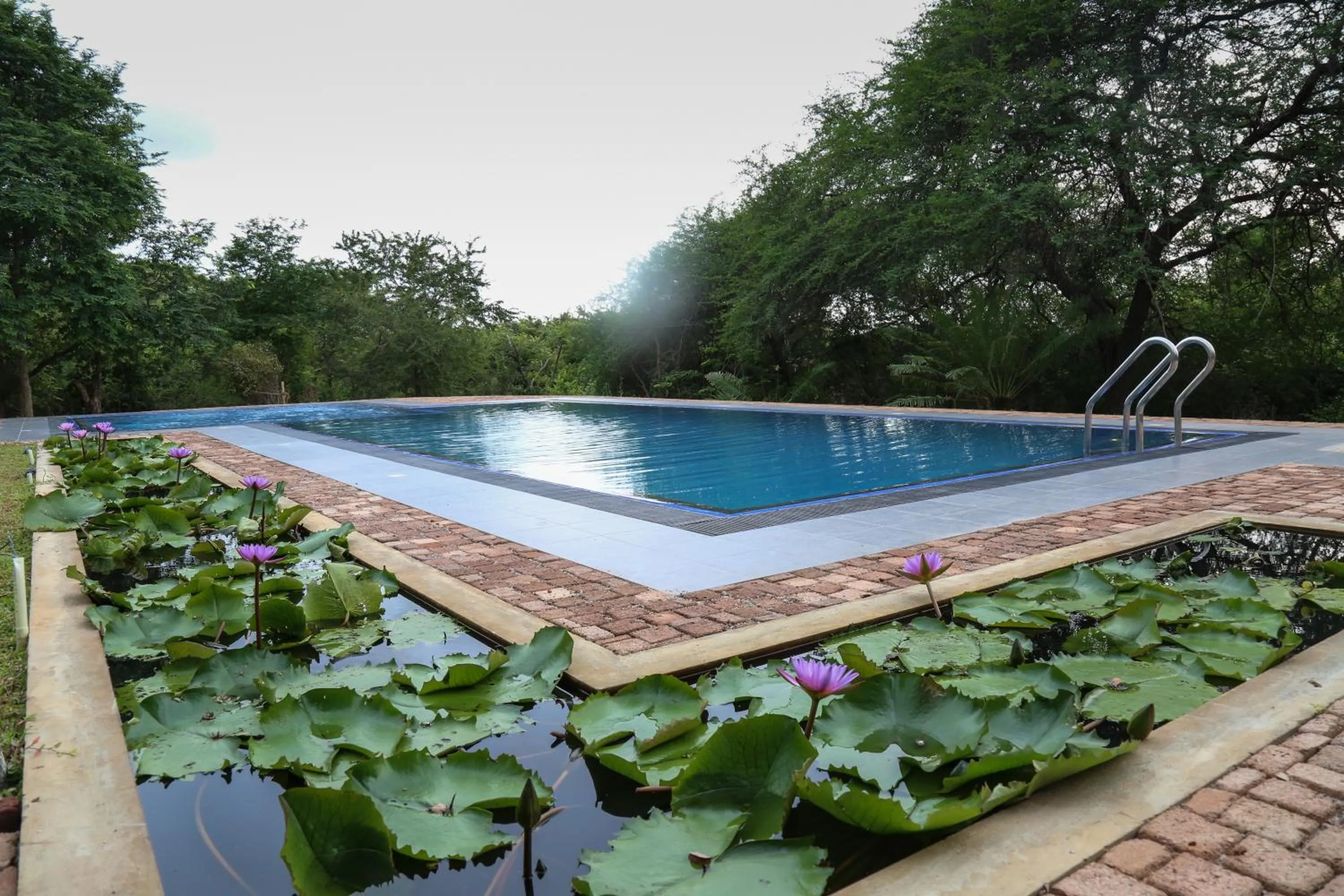 Swimming pool in Cloud Nine Lanka Resort Wilpattu