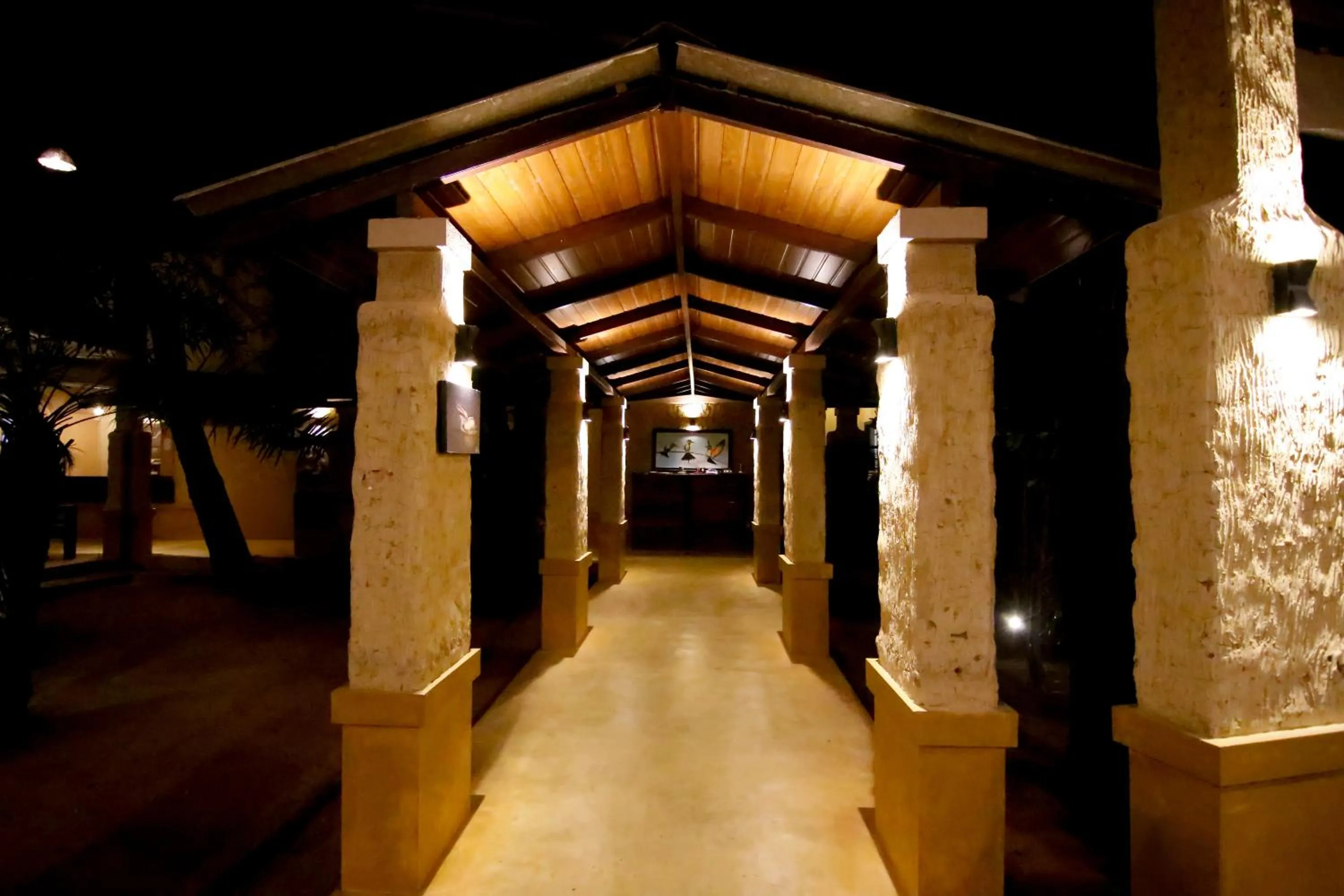 Night in Cloud Nine Lanka Resort Wilpattu