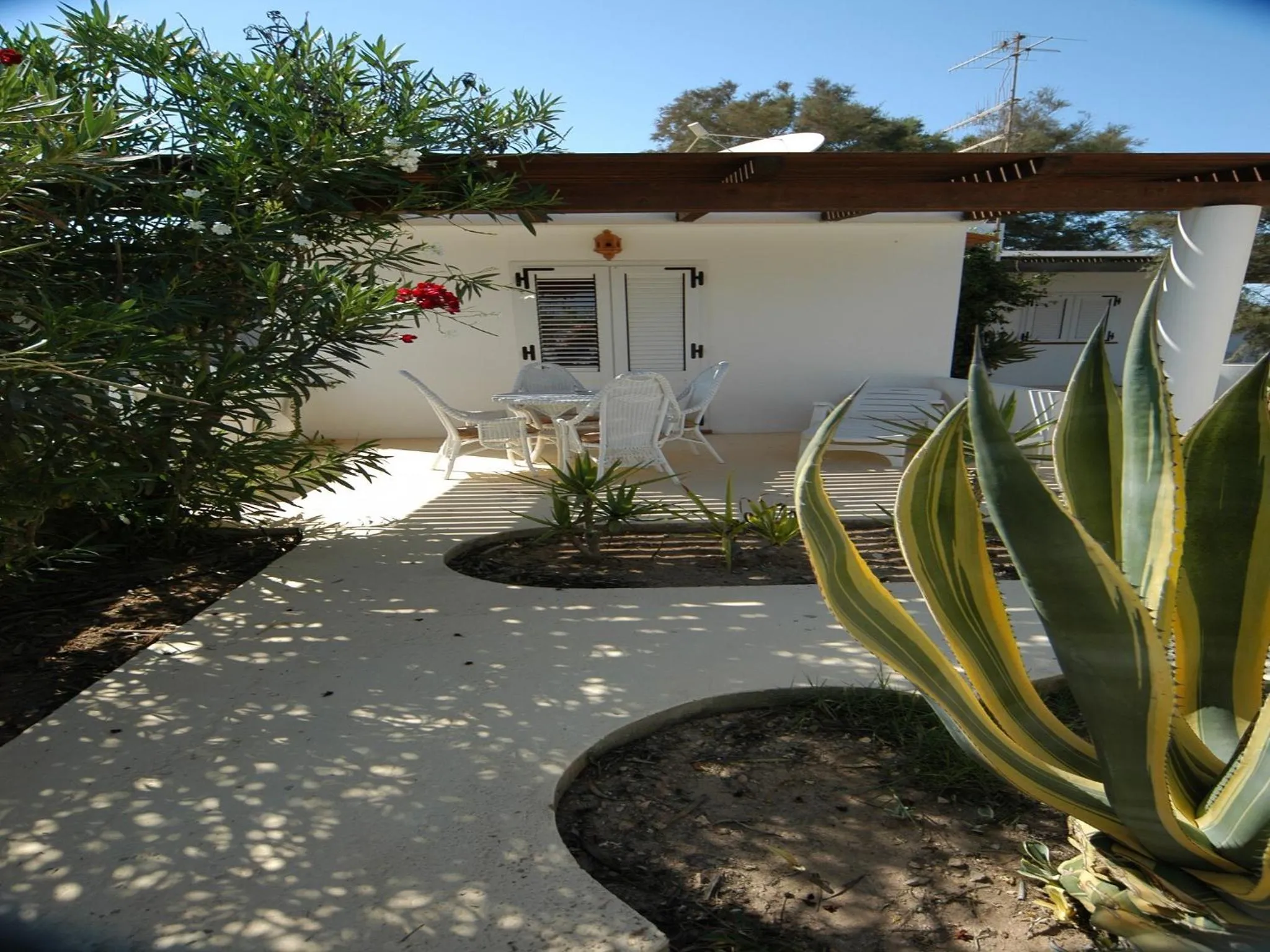 Garden view in Oasi Di Casablanca