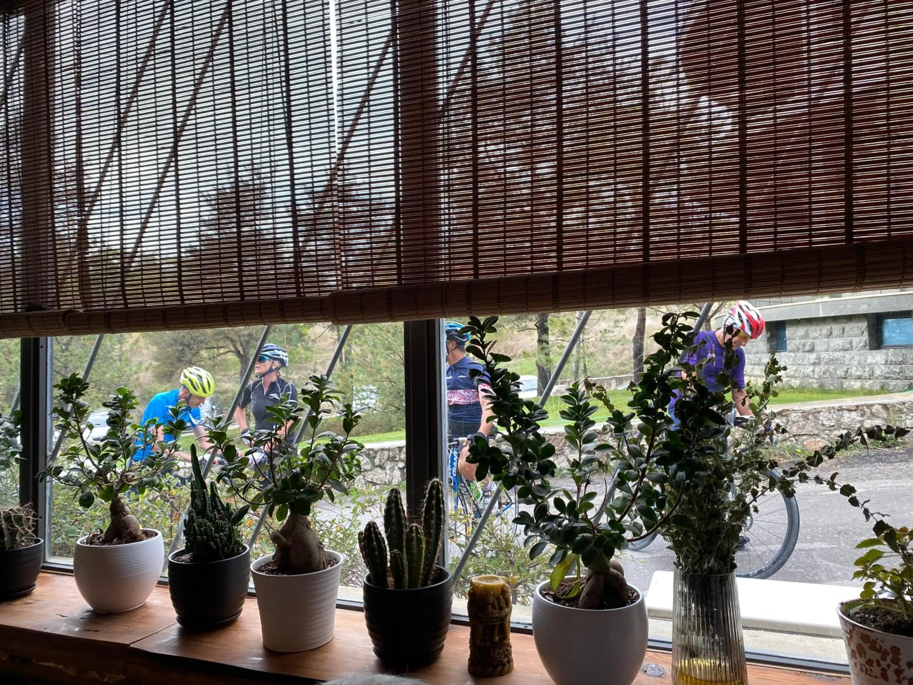 Garden view in Dim's Hotel & Restaurant