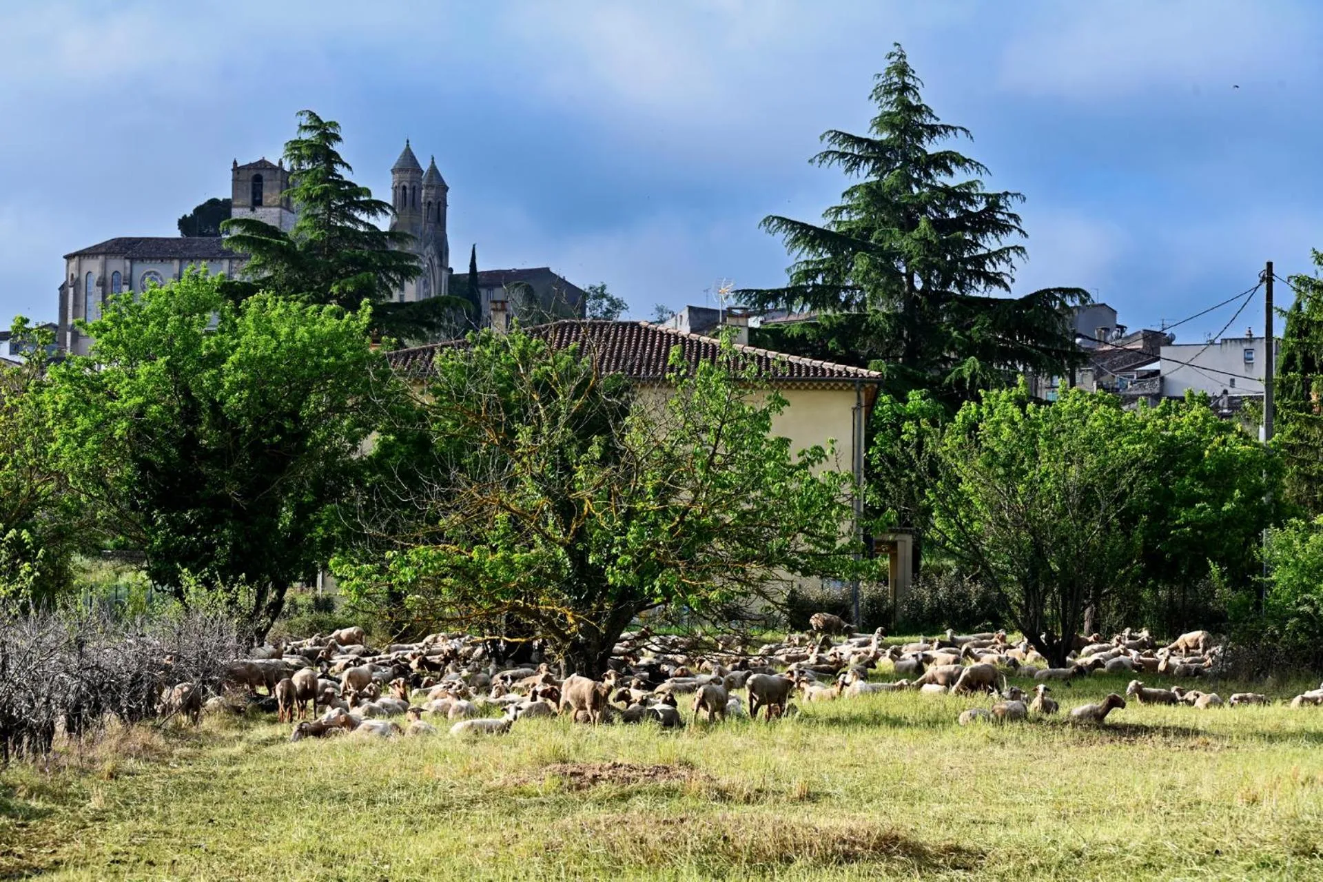Spring in Auberge de la Fontaine