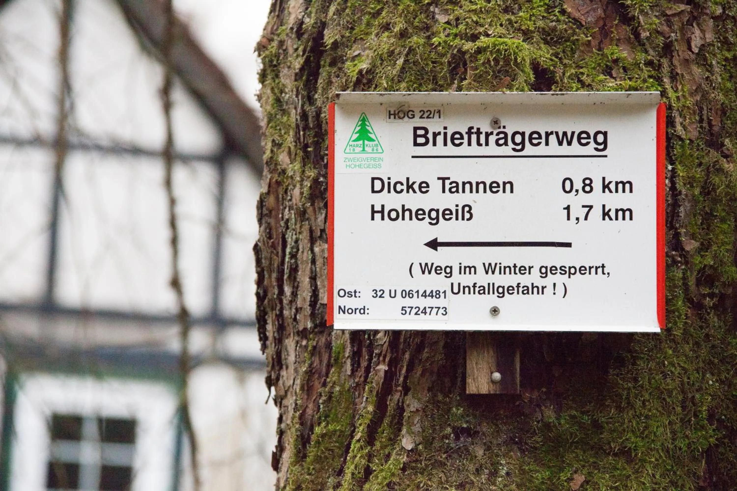 Activities in Waldhaus Wolfsbachmühle