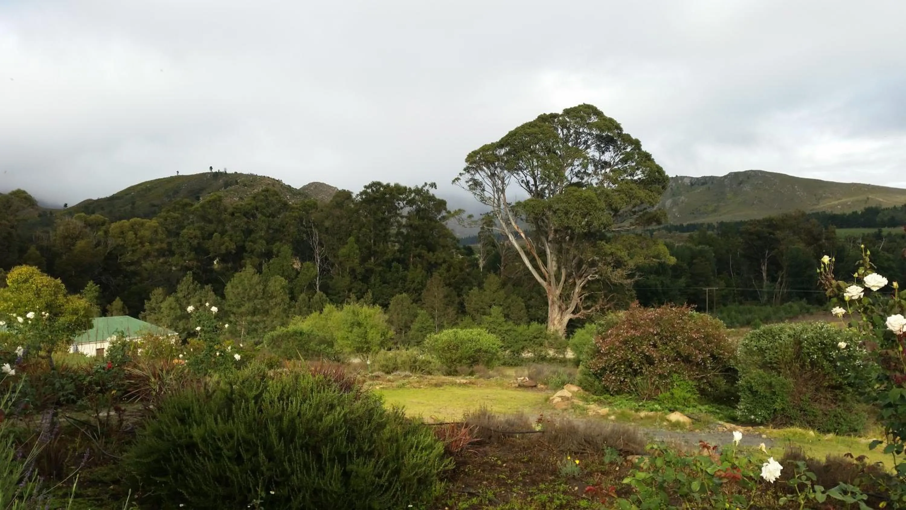 Garden view in Over The Mountain Guest Farm