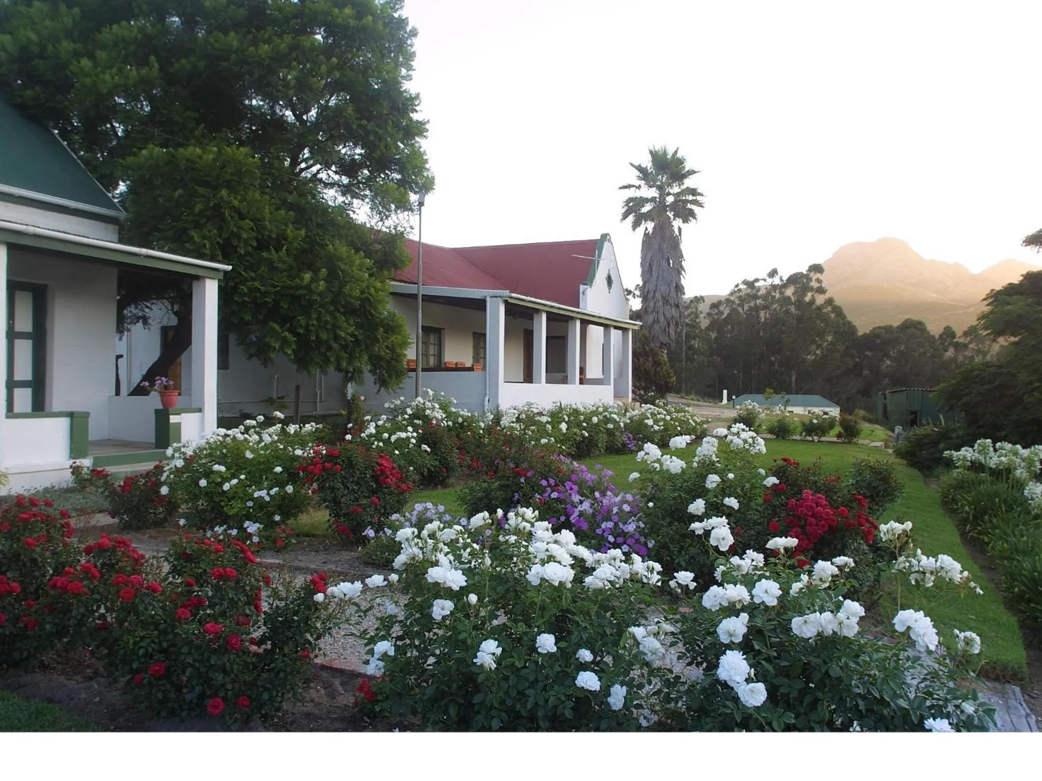 Property building in Over The Mountain Guest Farm
