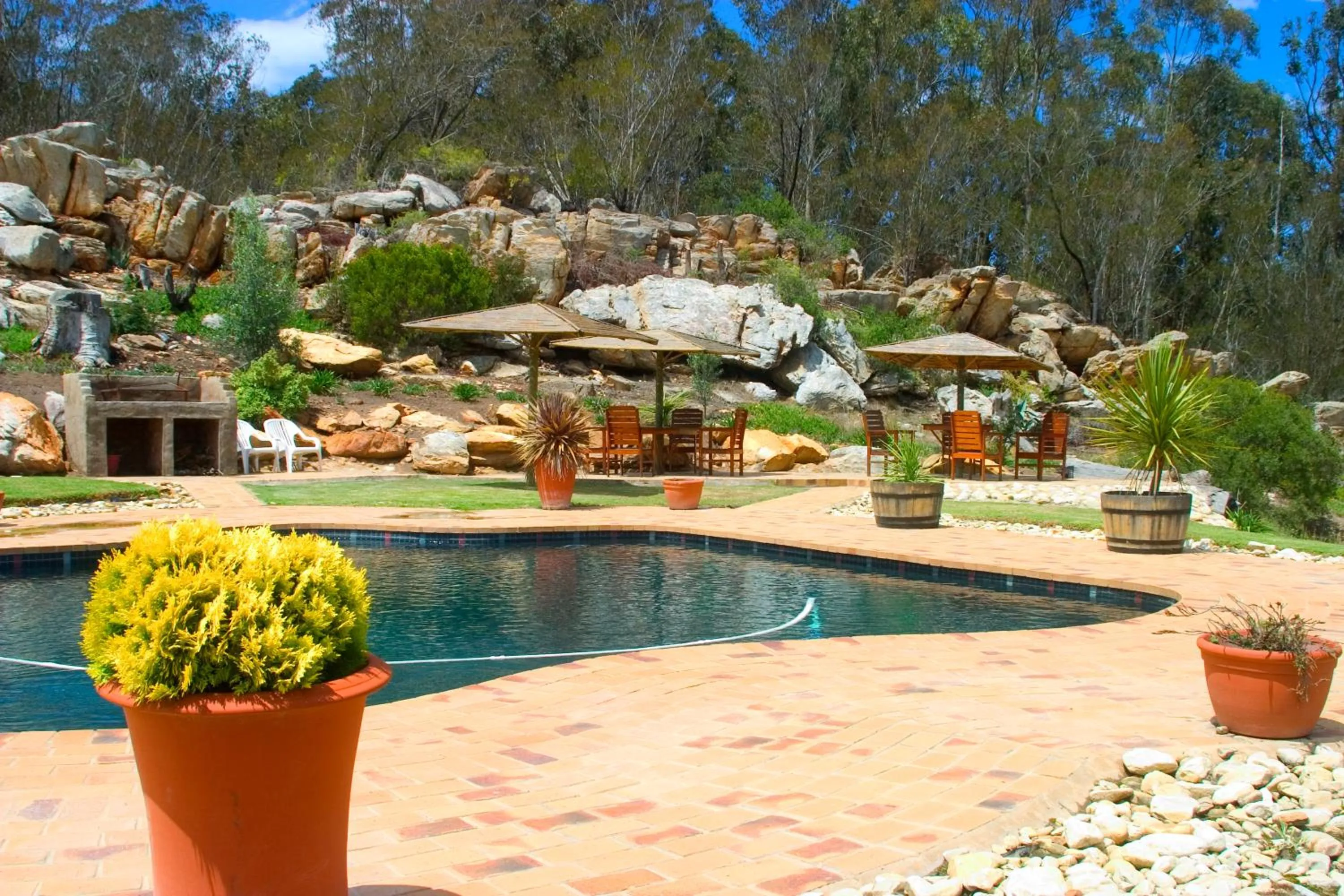 BBQ facilities in Over The Mountain Guest Farm