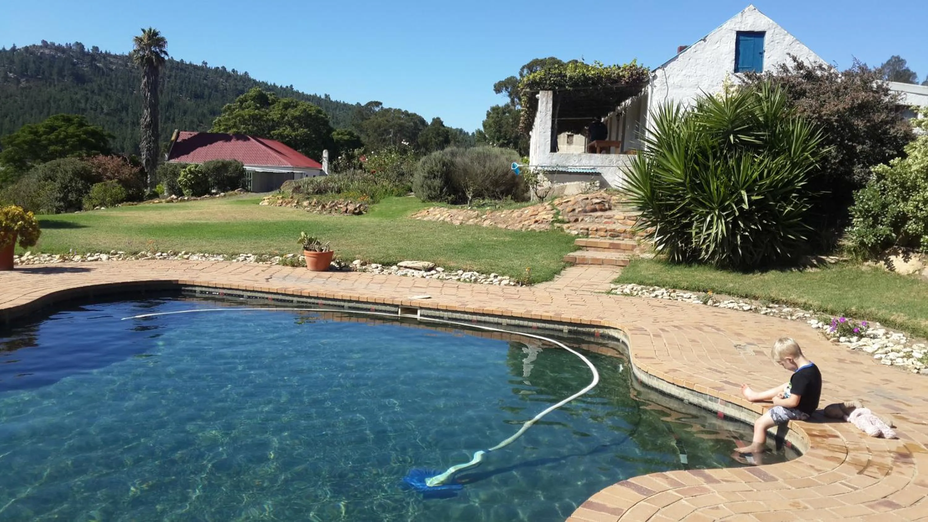 Swimming pool in Over The Mountain Guest Farm