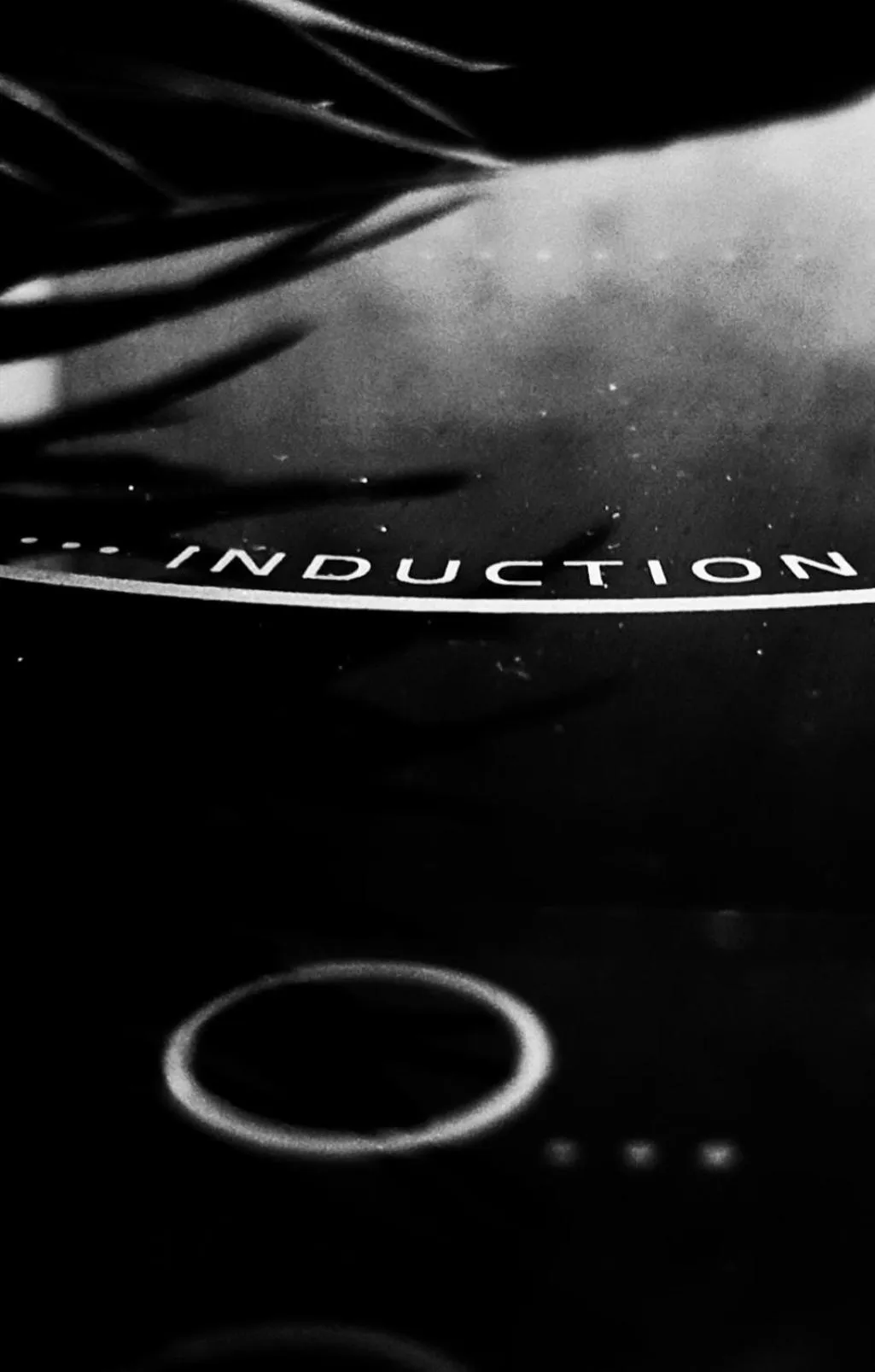 Food in Residence l'Appartamento