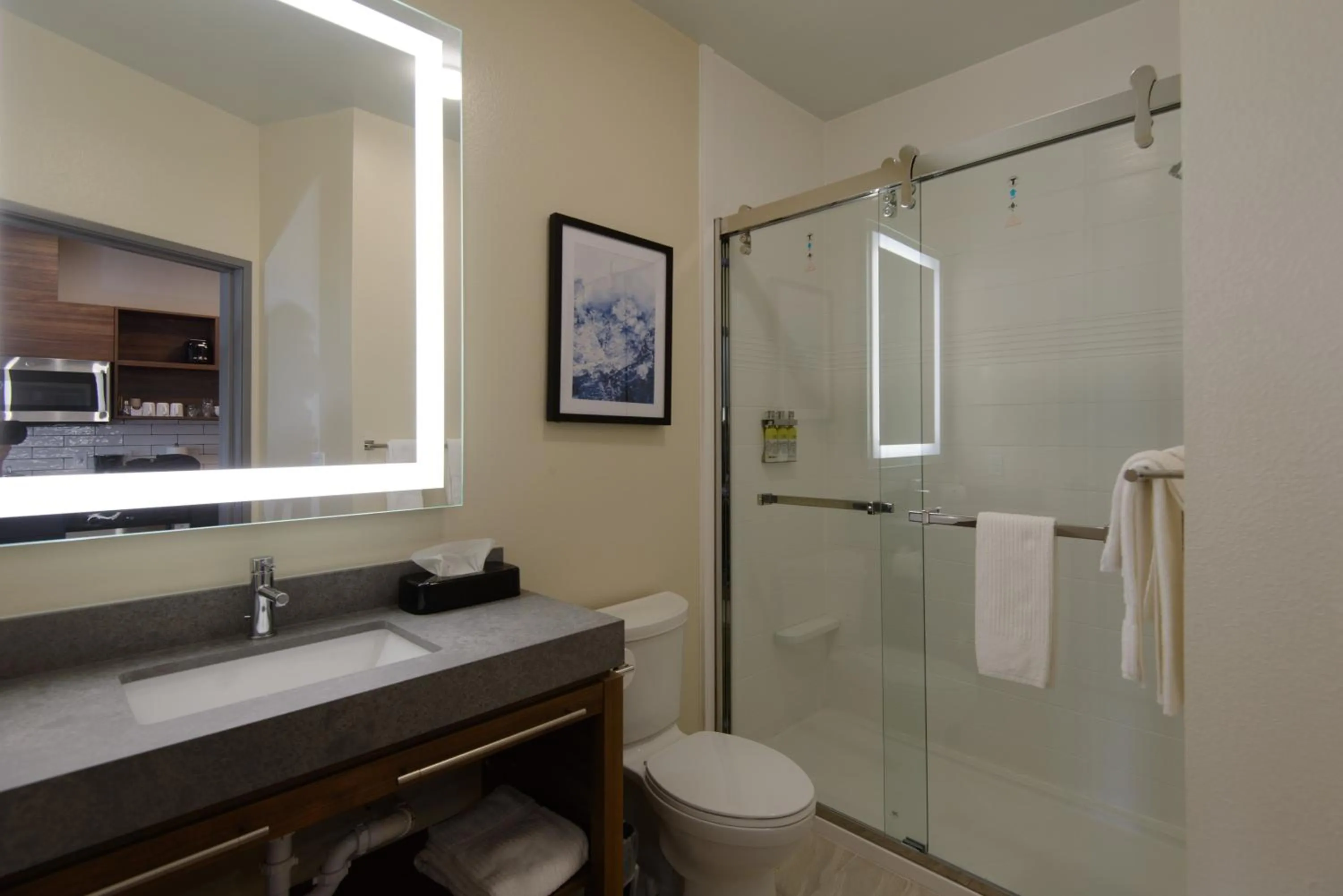 Bathroom in Candlewood Suites - Corpus Christi - Portland by IHG