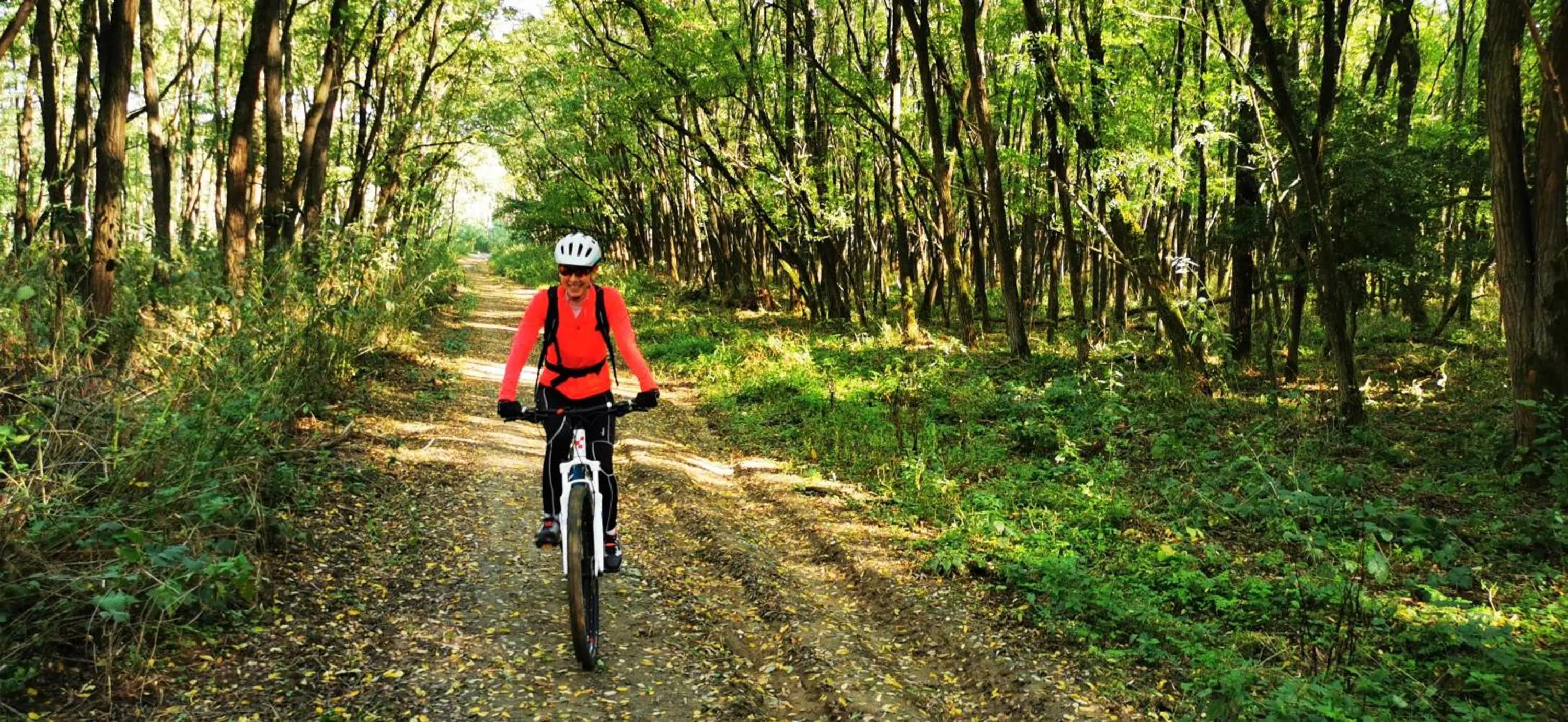 Cycling in MiLLER's Inn Panzió és Étterem