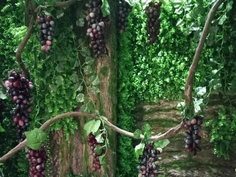 Vatica Xuzhou Suining Bus Station Bayi West Road Hotel