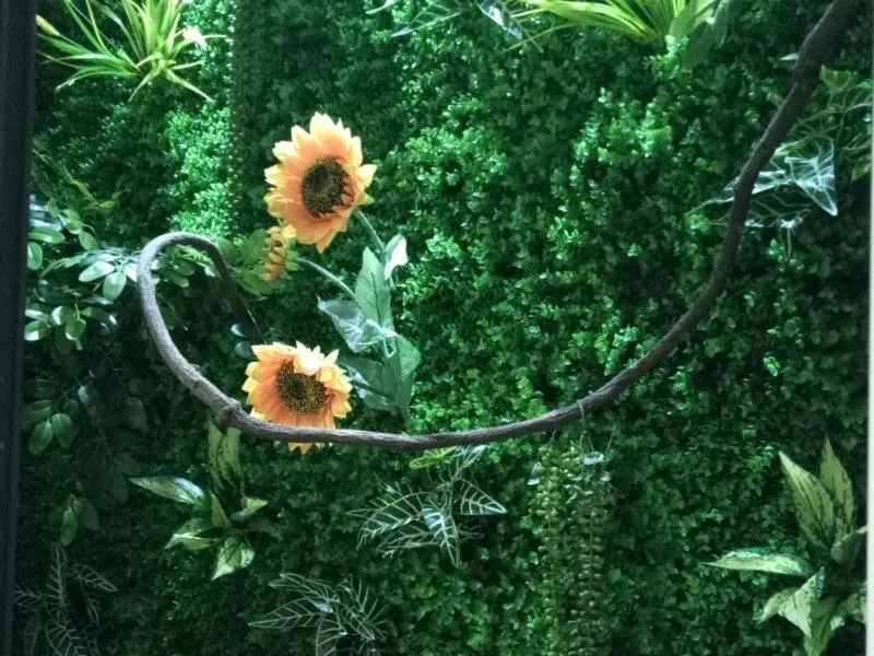 Vatica Xuzhou Suining Bus Station Bayi West Road Hotel