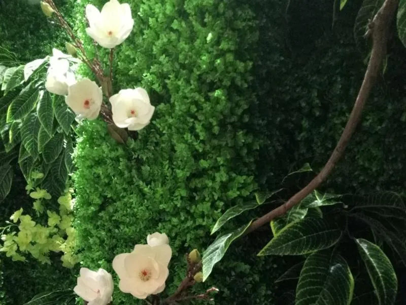 Vatica Xuzhou Suining Bus Station Bayi West Road Hotel