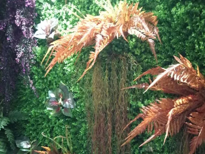 Vatica Xuzhou Suining Bus Station Bayi West Road Hotel