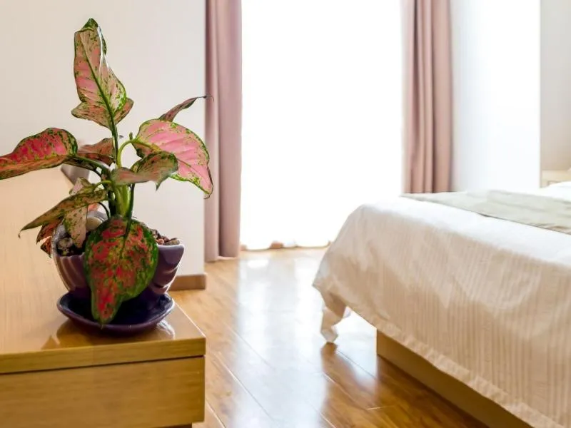 Bed in GreenTree InnChangZhou Wujin District Huangli Town Taoyuan Road Express Hotel